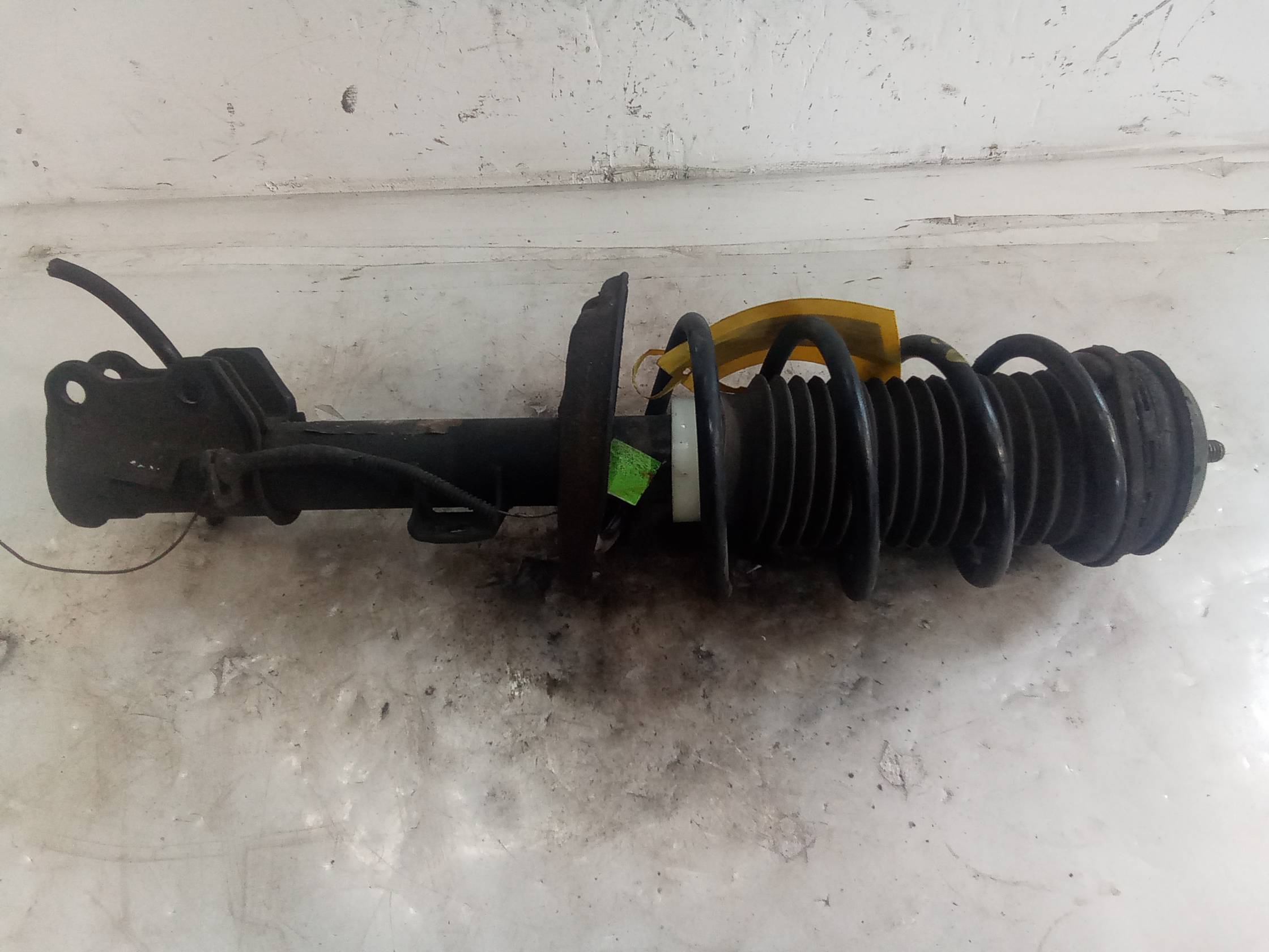 Ammortizzatore ant. sx.