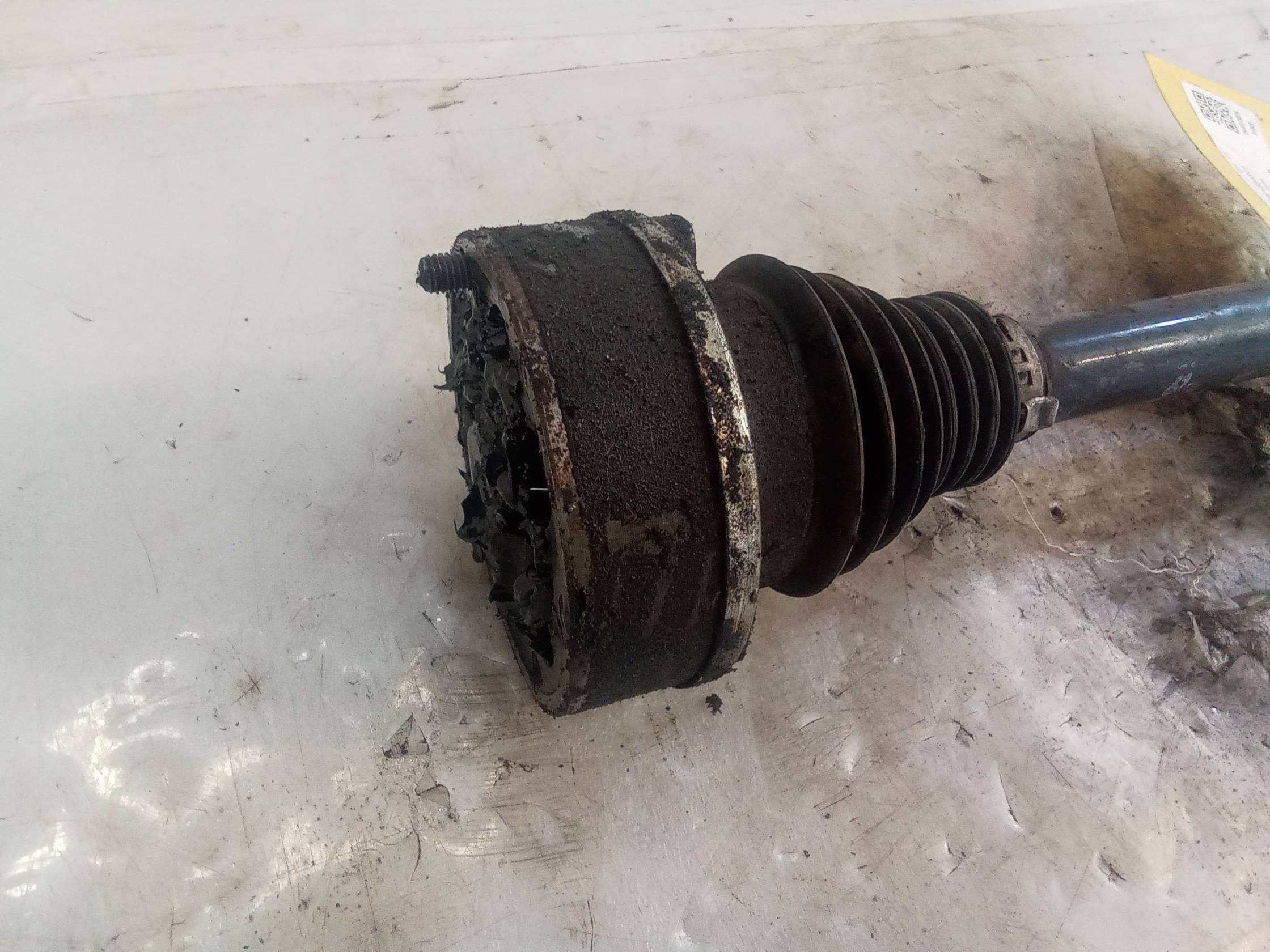 Semialbero ant. compl. dx.