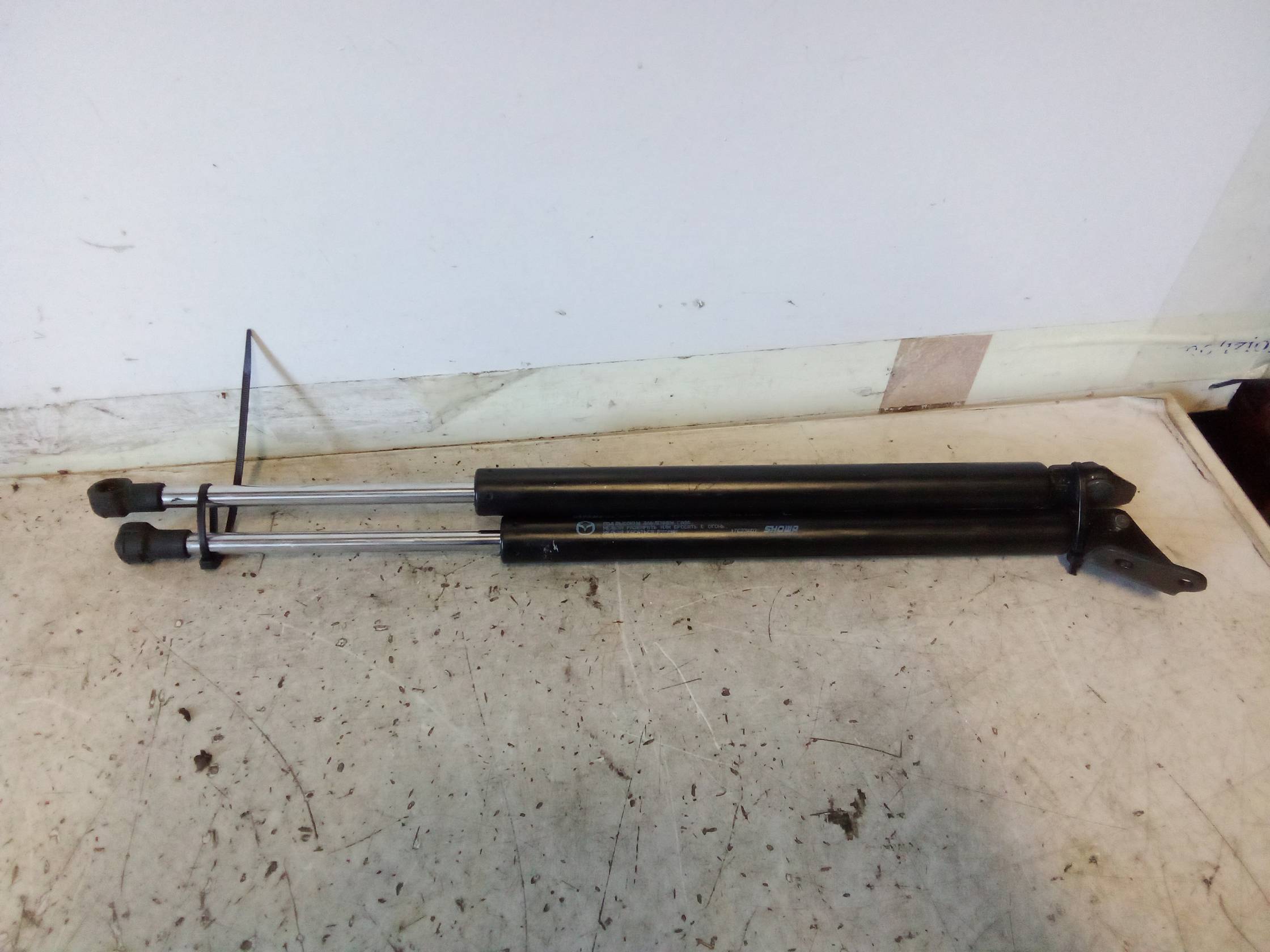 Asta ammortizzante portello post. sx.