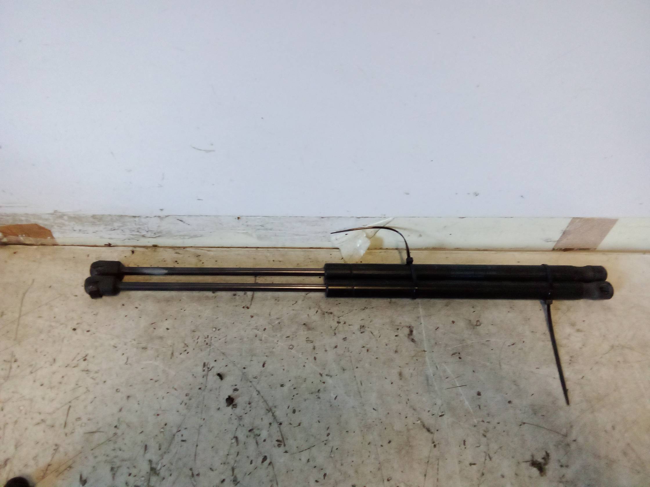 Asta ammortizzante portello post. sx.