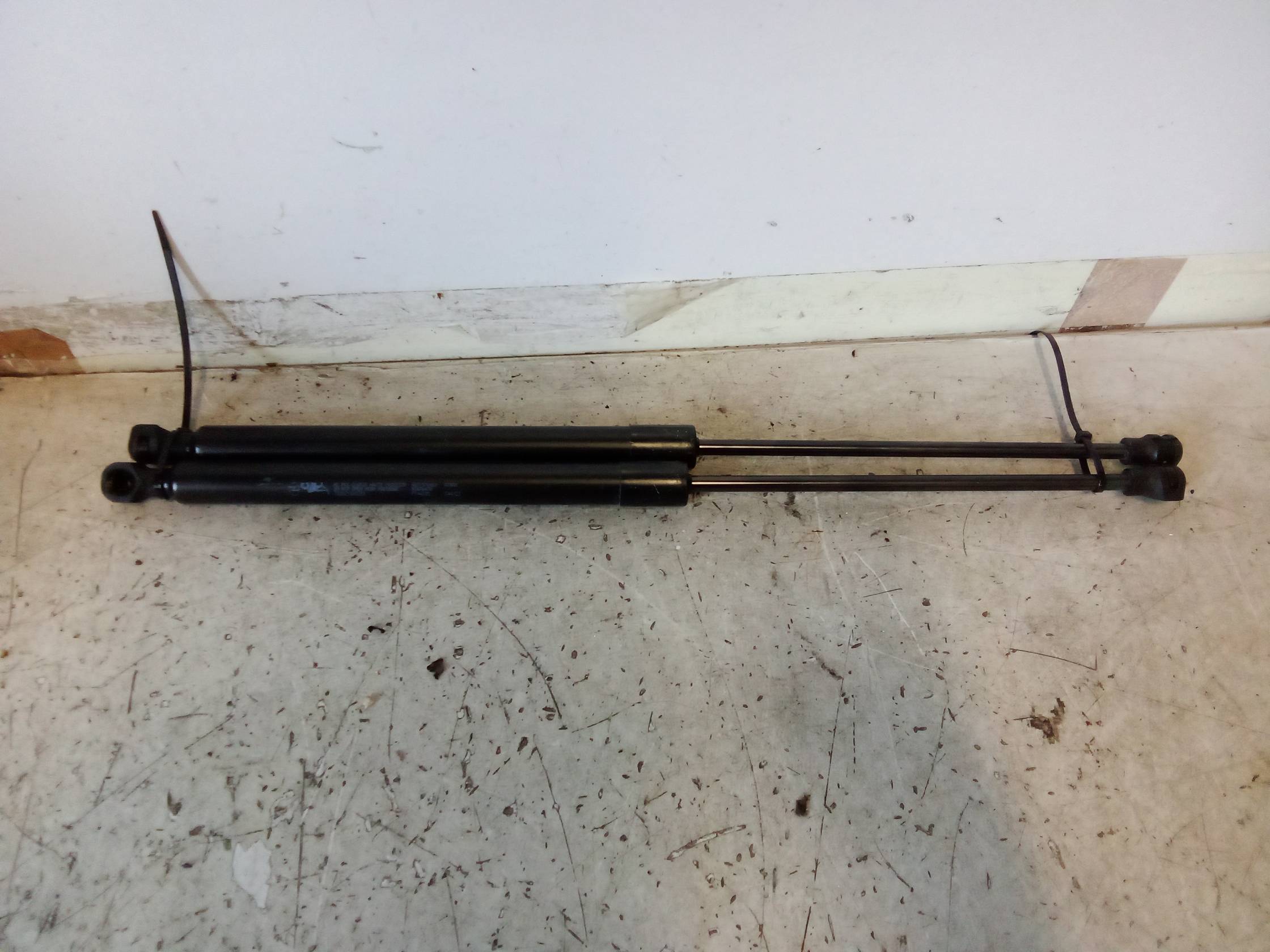 Asta ammortizzante portello post. sx.