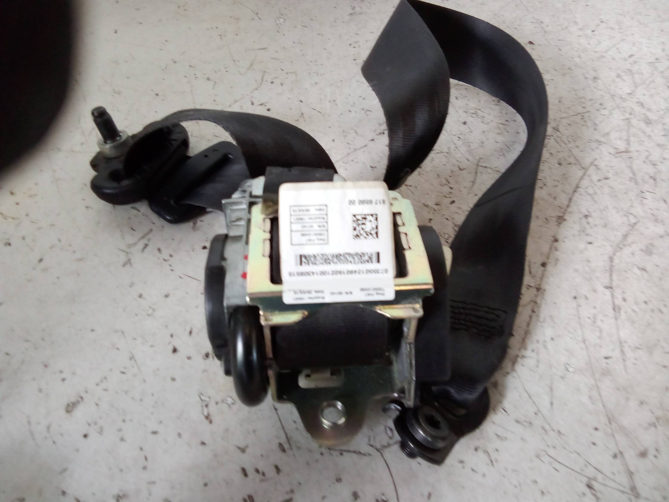 Cintura di sicurezza ant. sx.