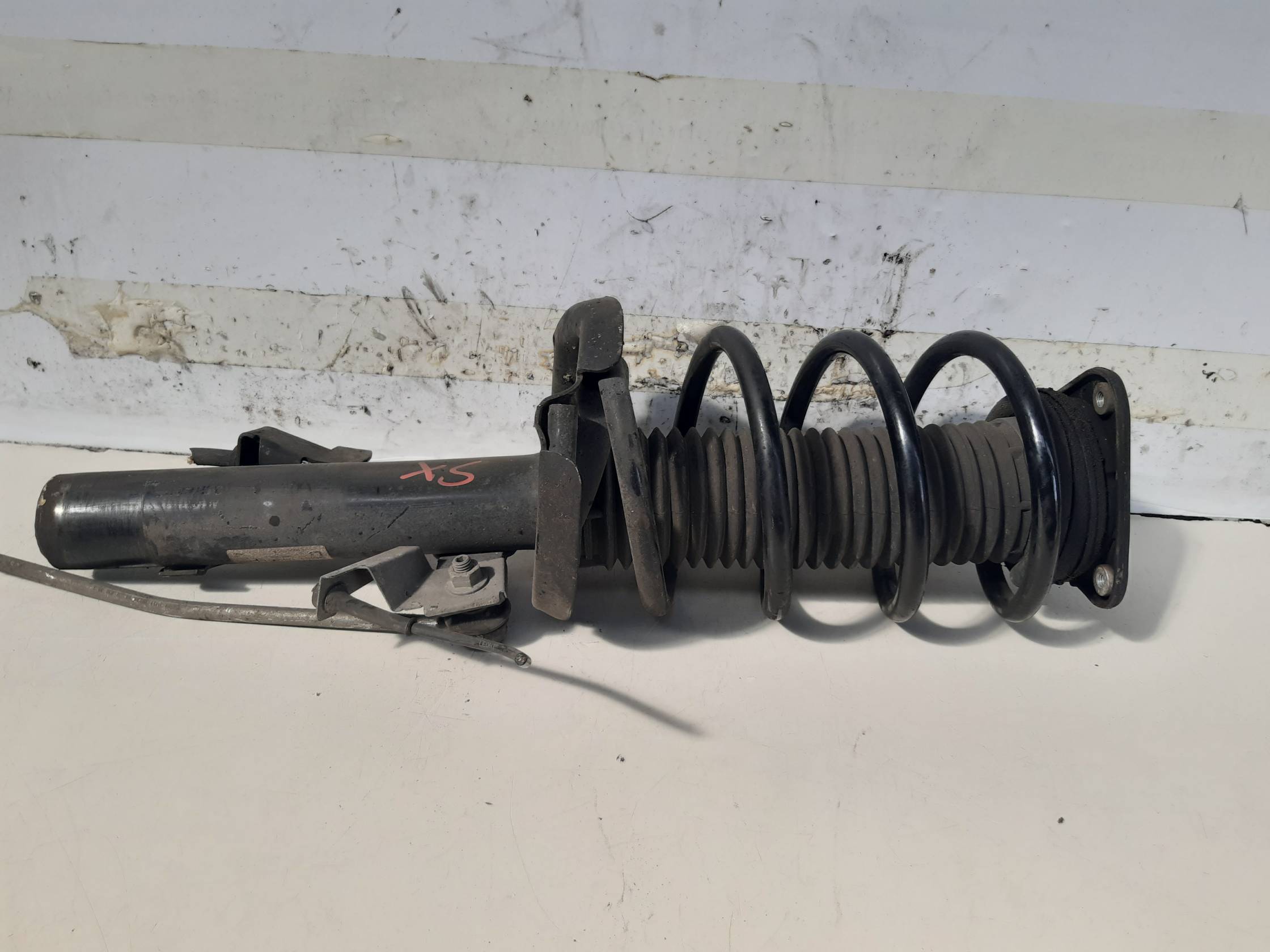 Ammortizzatore ant. sx.