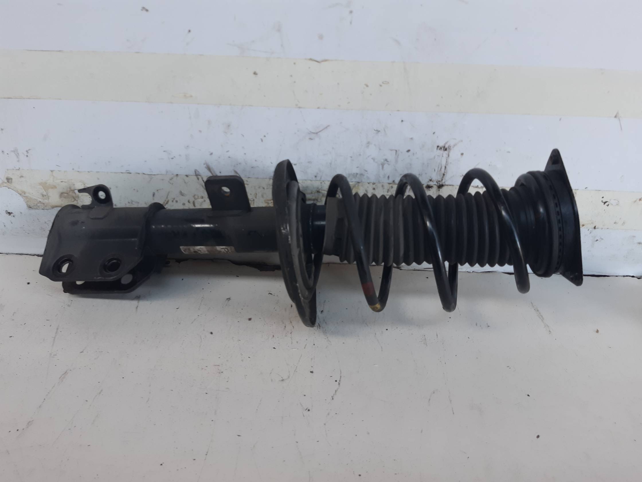 Ammortizzatore ant. sx.