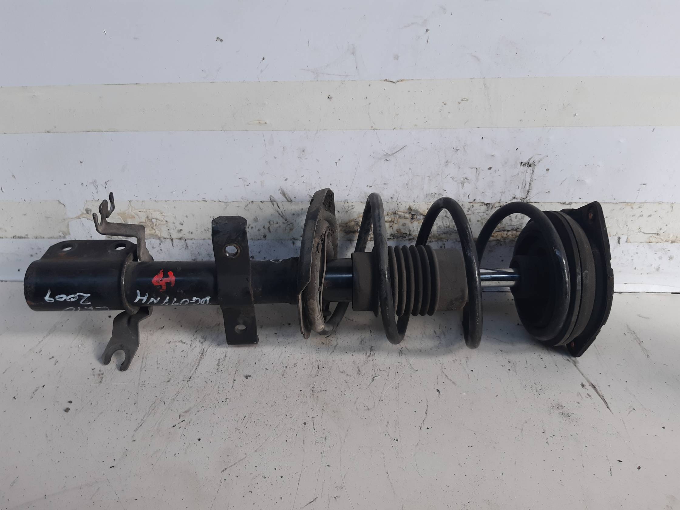 Ammortizzatore ant. sx.