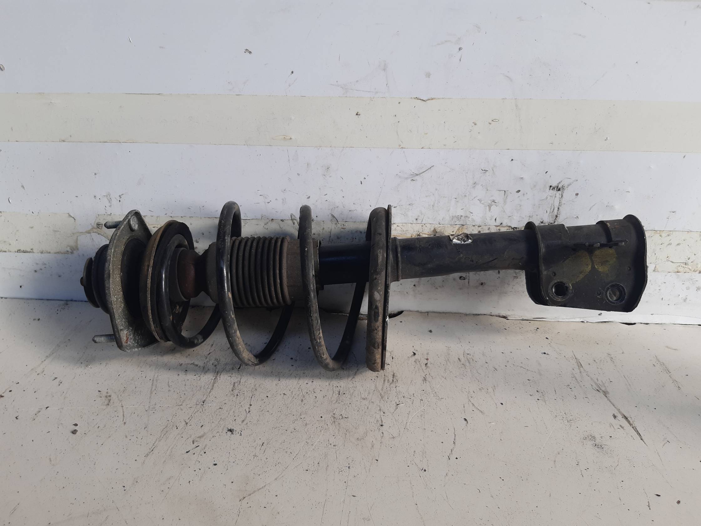 Ammortizzatore ant. sx.