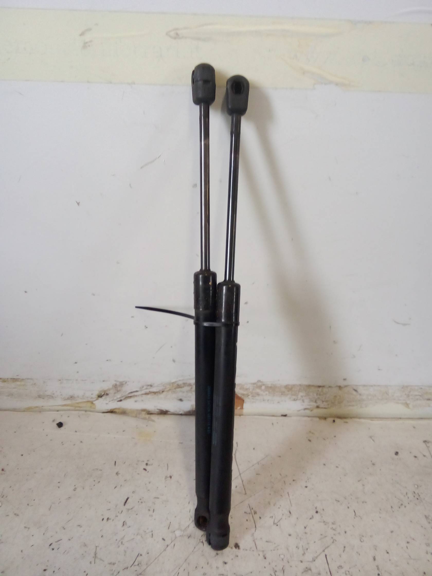 Asta ammortizzante portello post. sx.