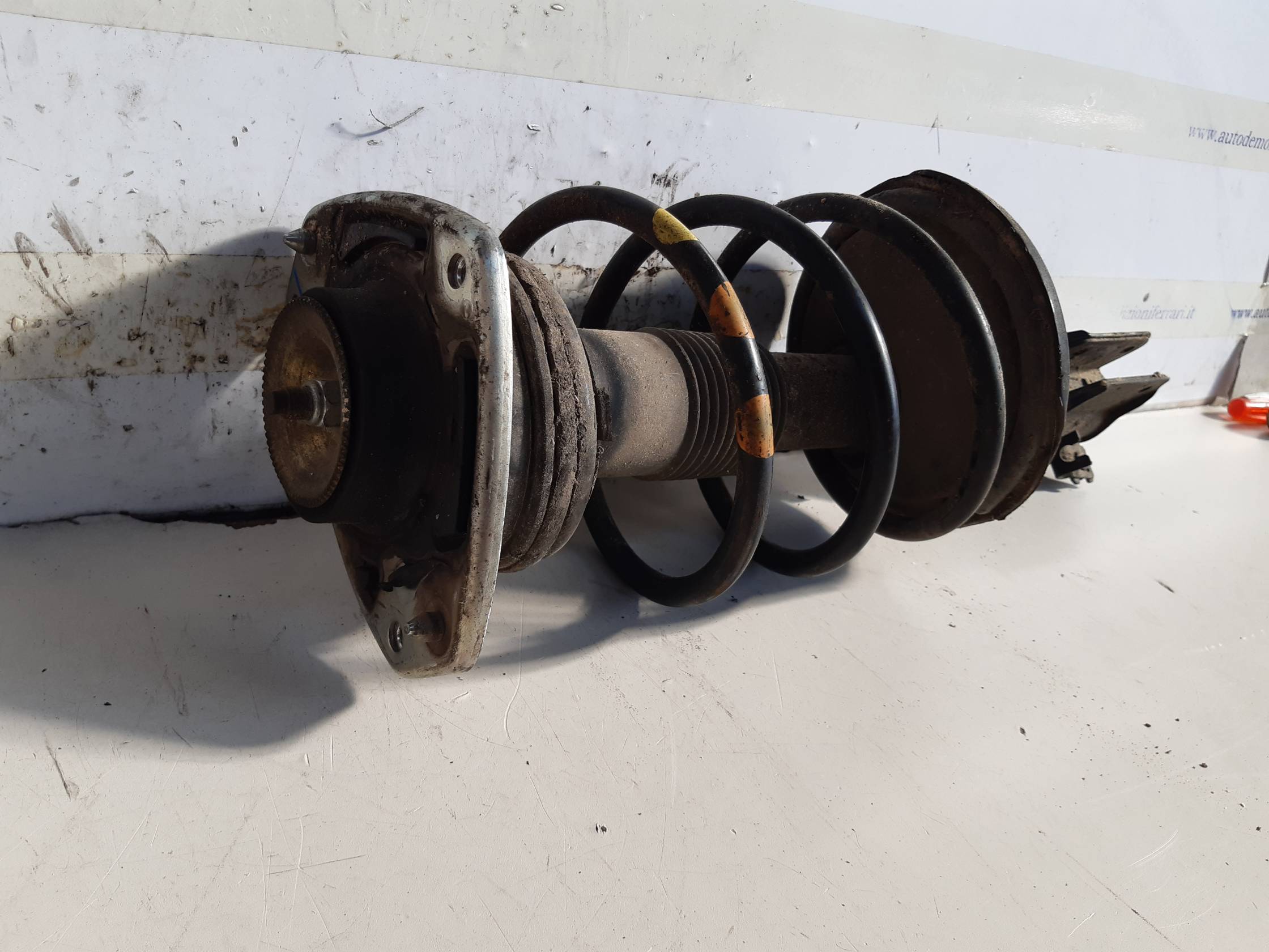 Ammortizzatore ant. sx.