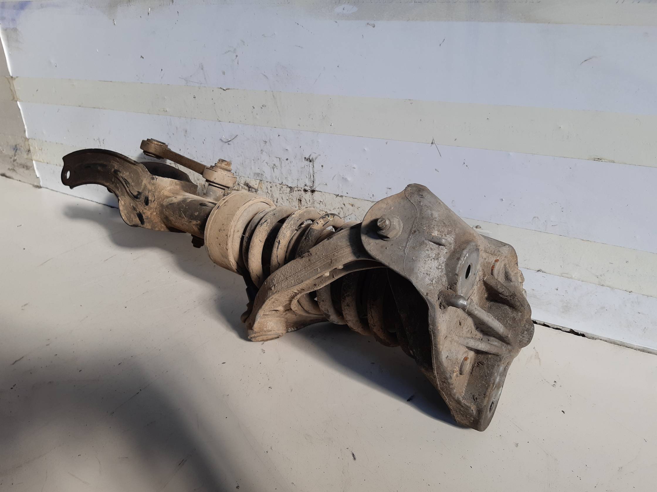 Ammortizzatore ant. dx.