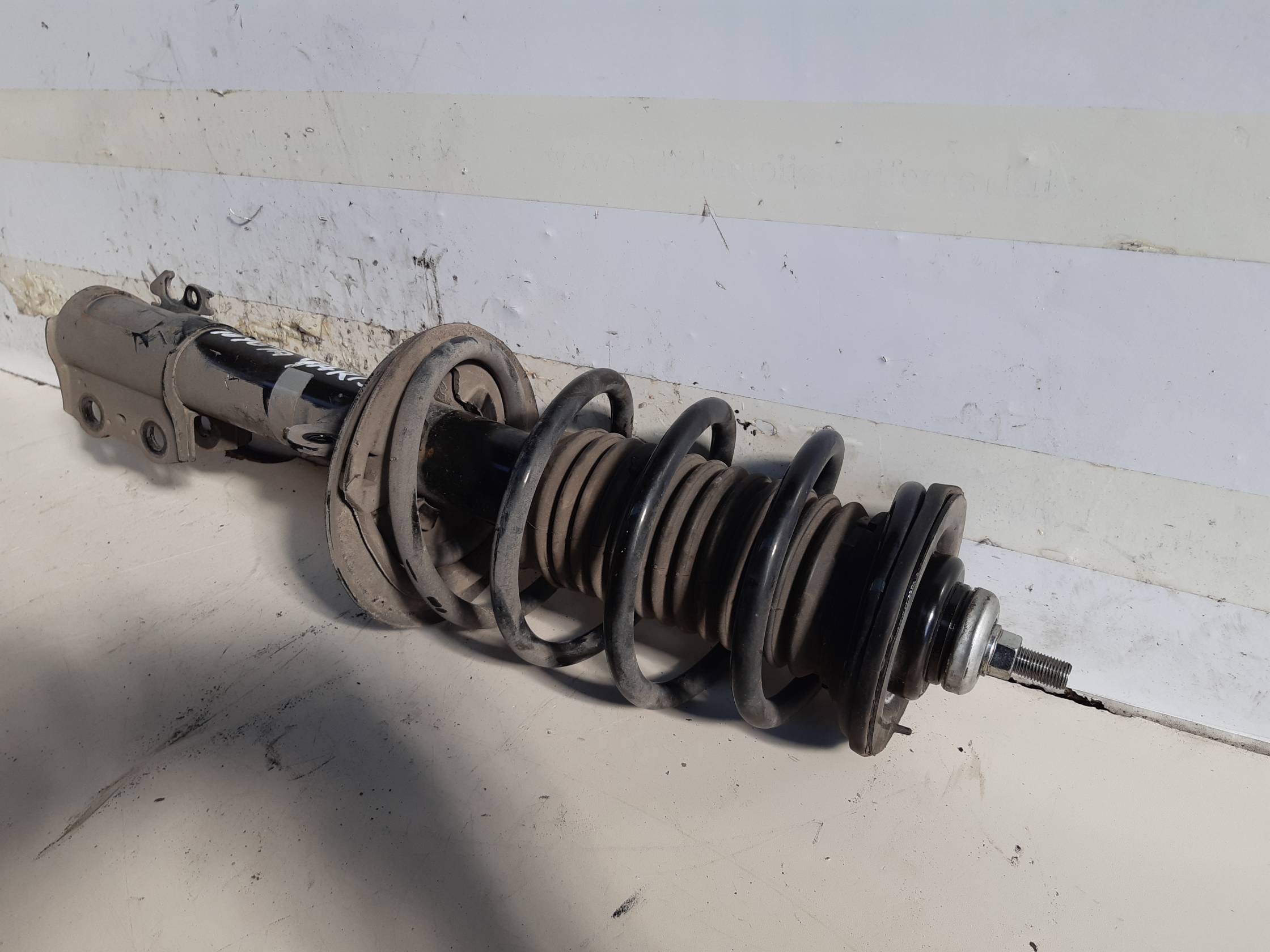 Ammortizzatore ant. sx.