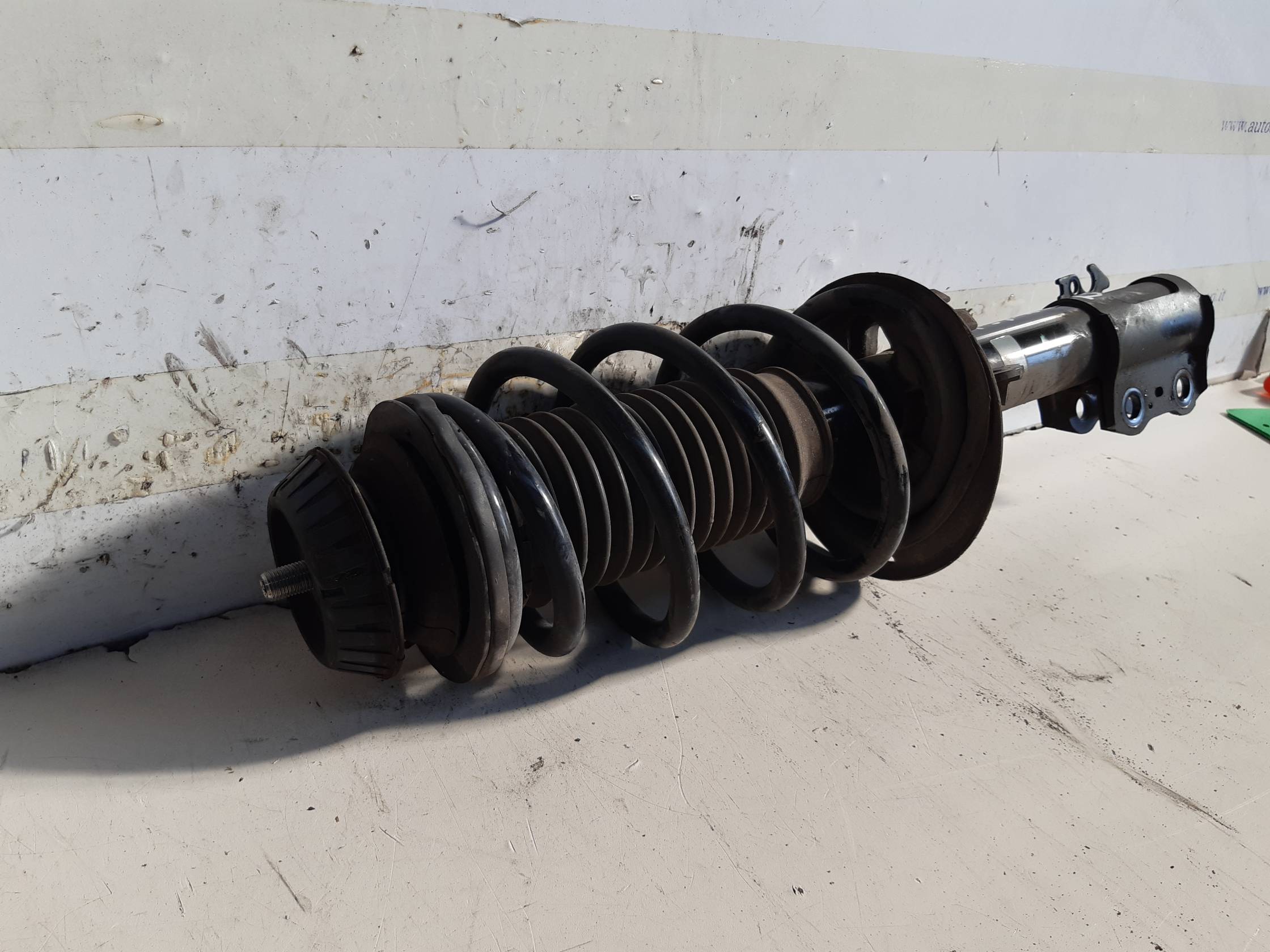 Ammortizzatore ant. dx.