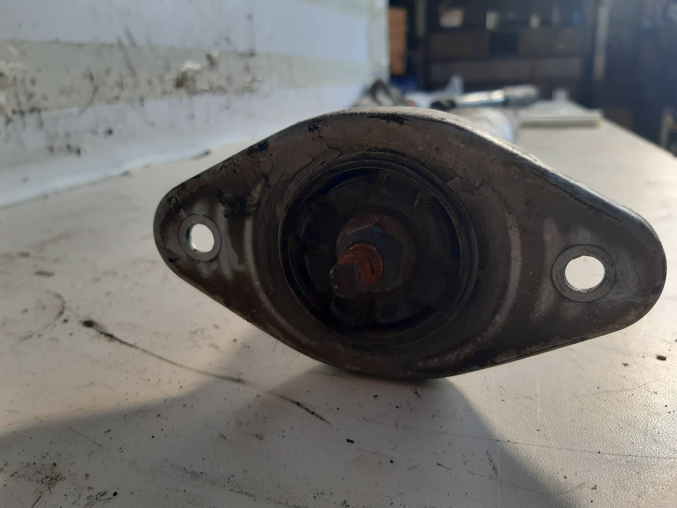 Ammortizzatore post. sx.