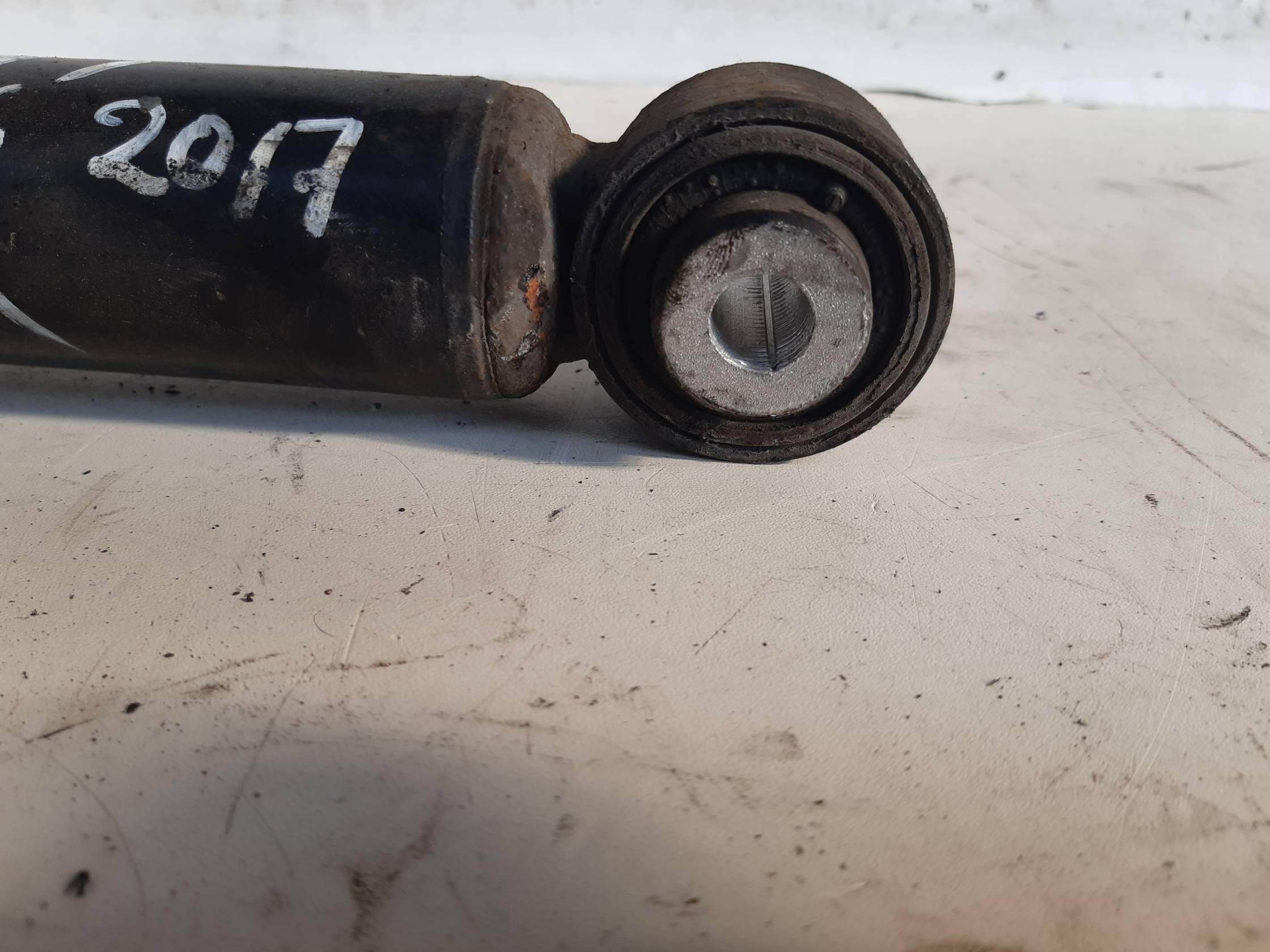 Ammortizzatore post. sx.