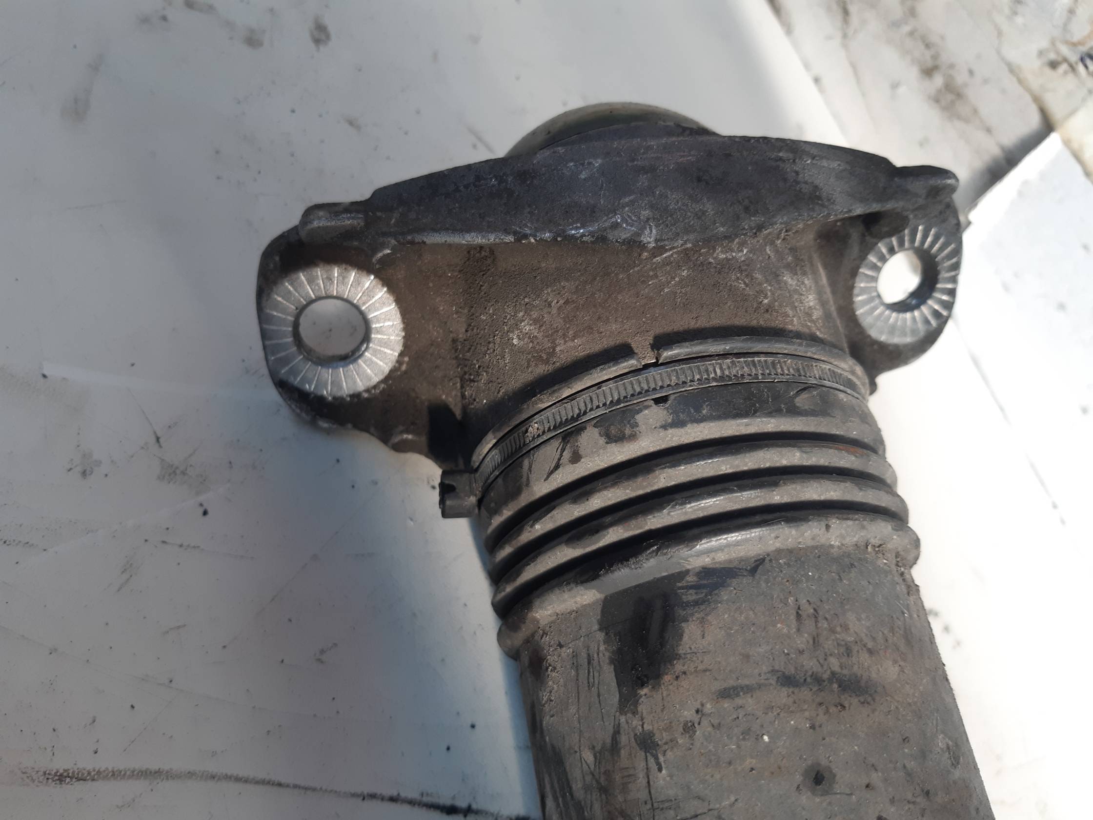 Ammortizzatore post. sx.