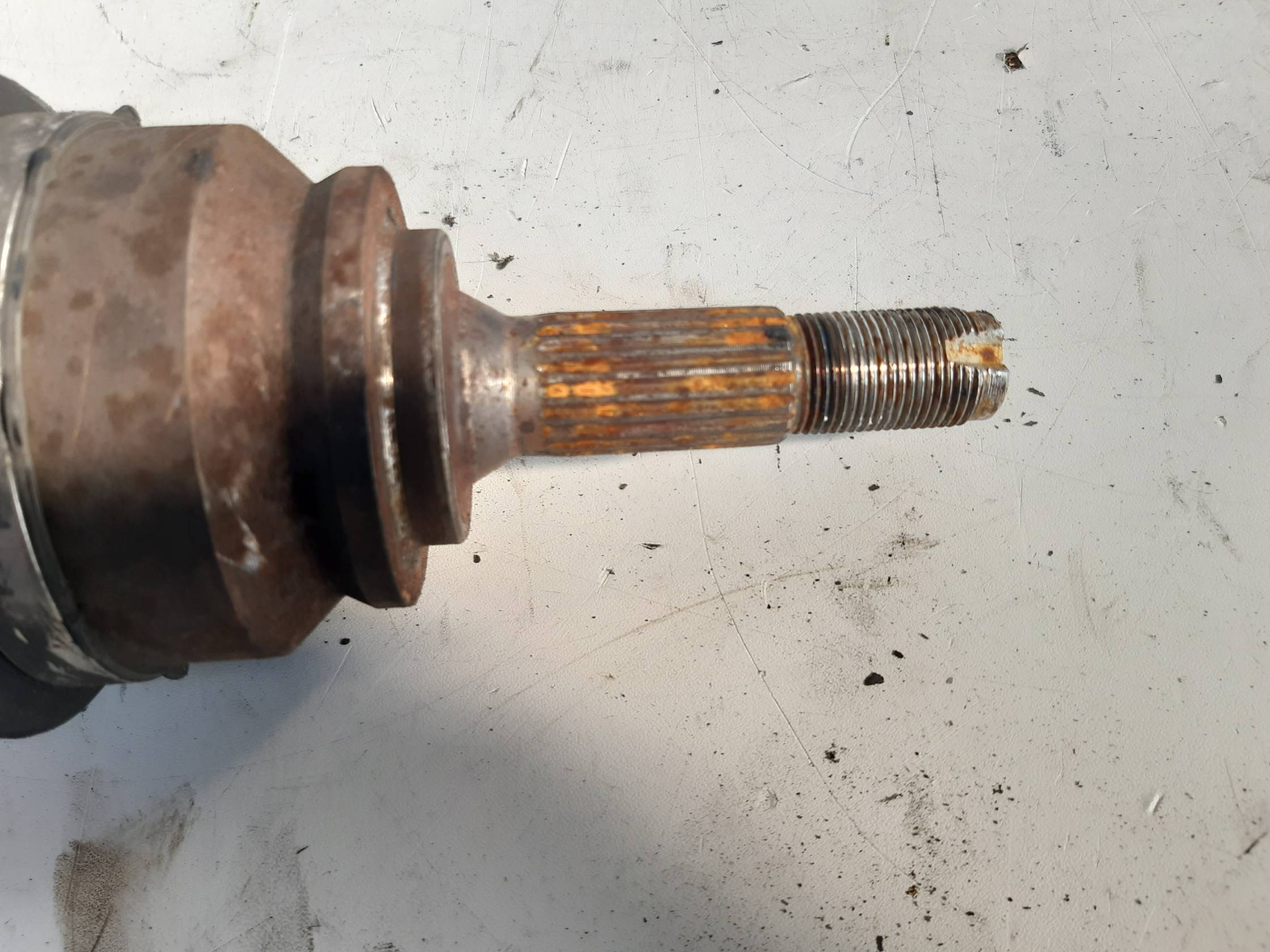 Semialbero ant. compl. sx.