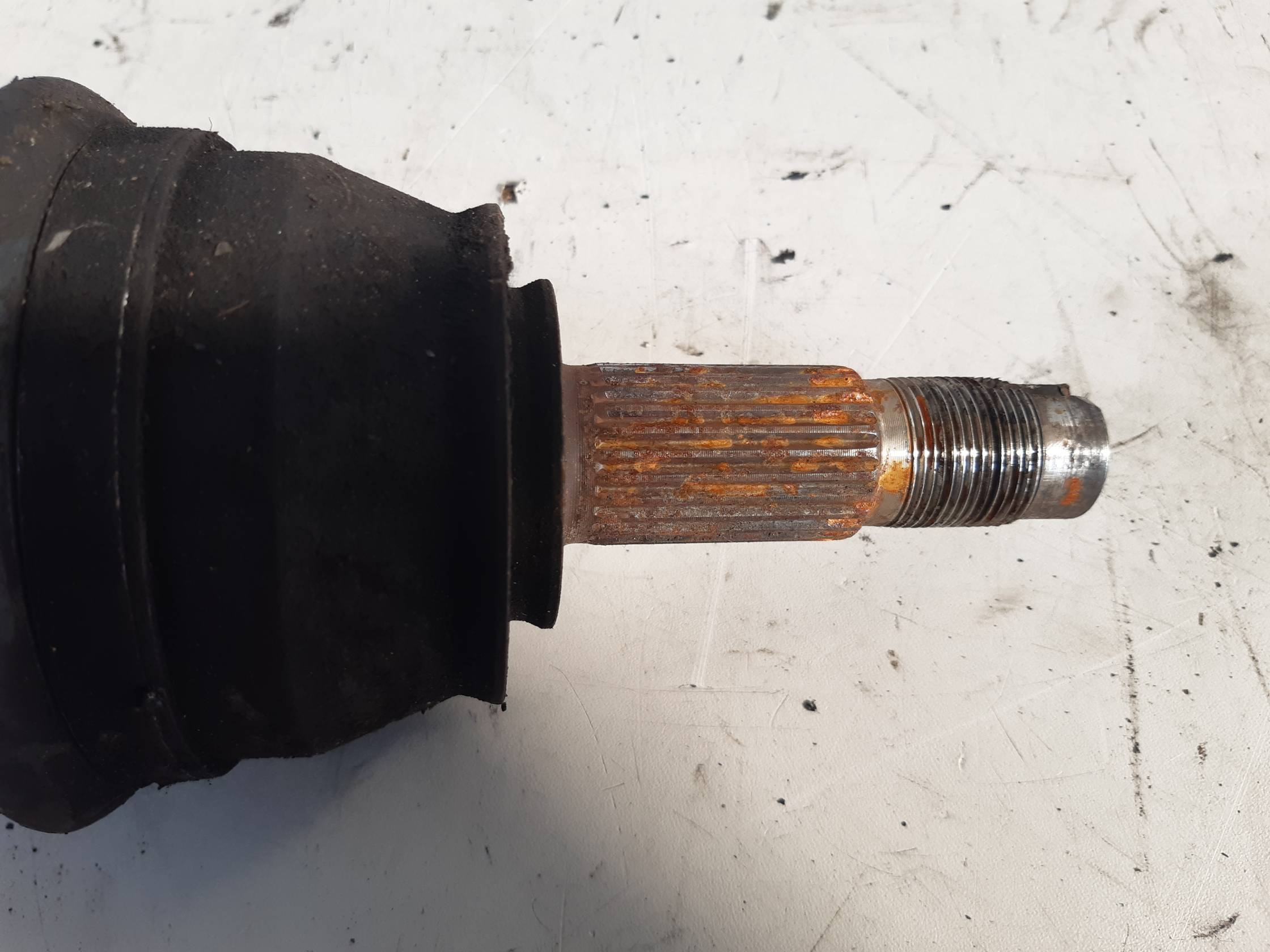 Semialbero ant. compl. sx.