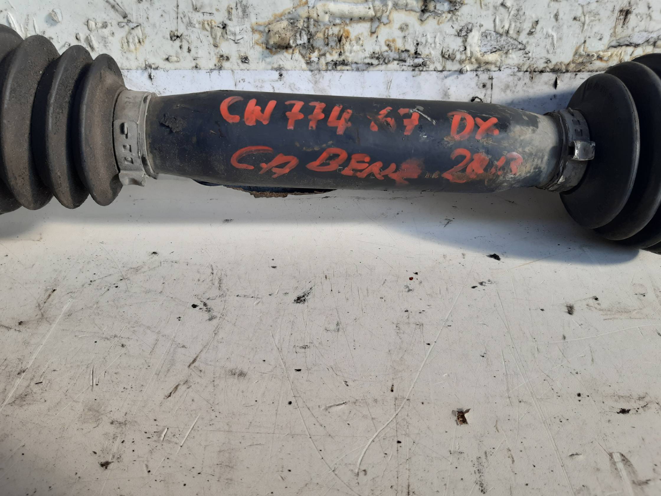 Semialbero ant. compl. dx.