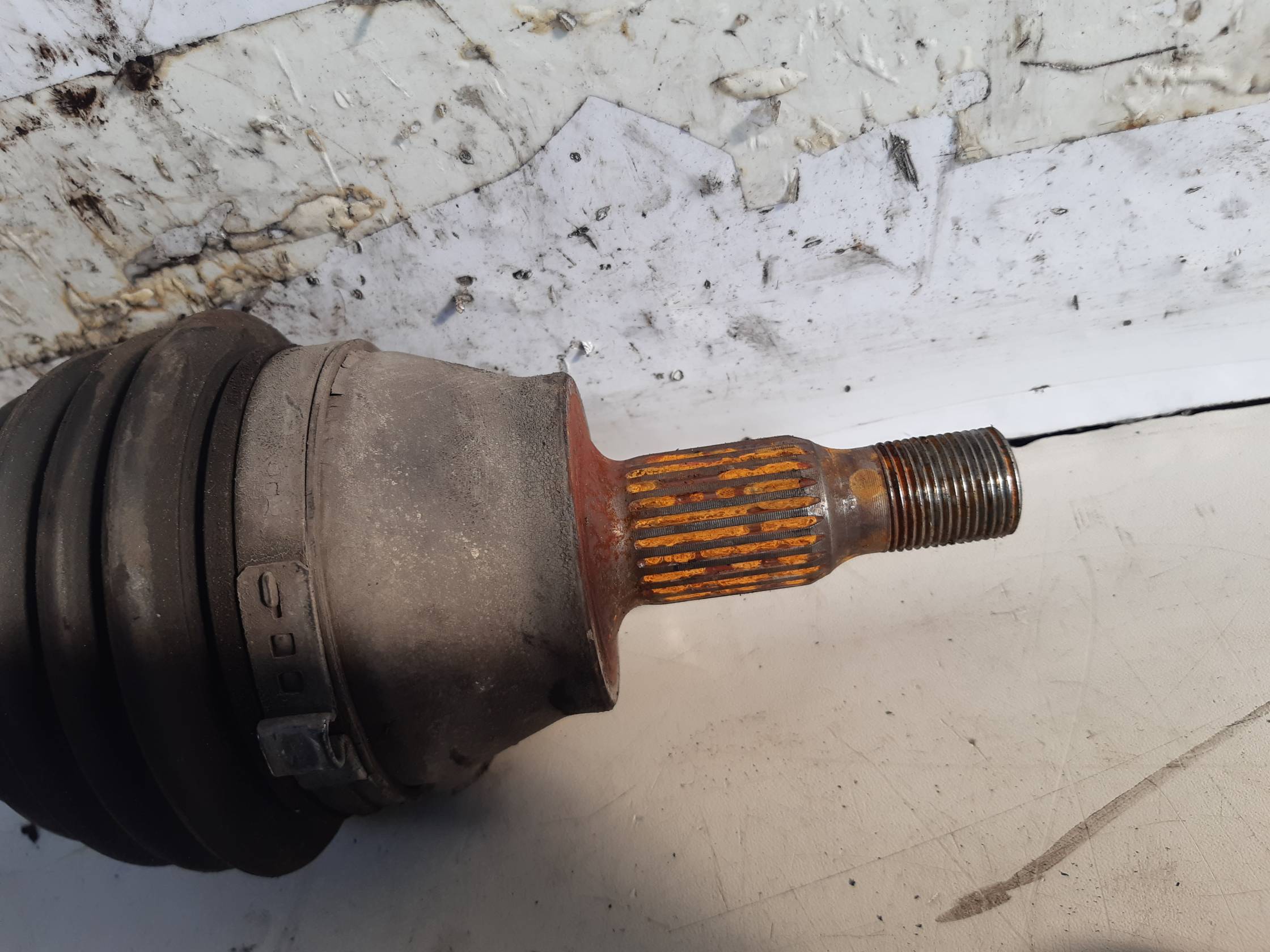 Semialbero ant. compl. dx.