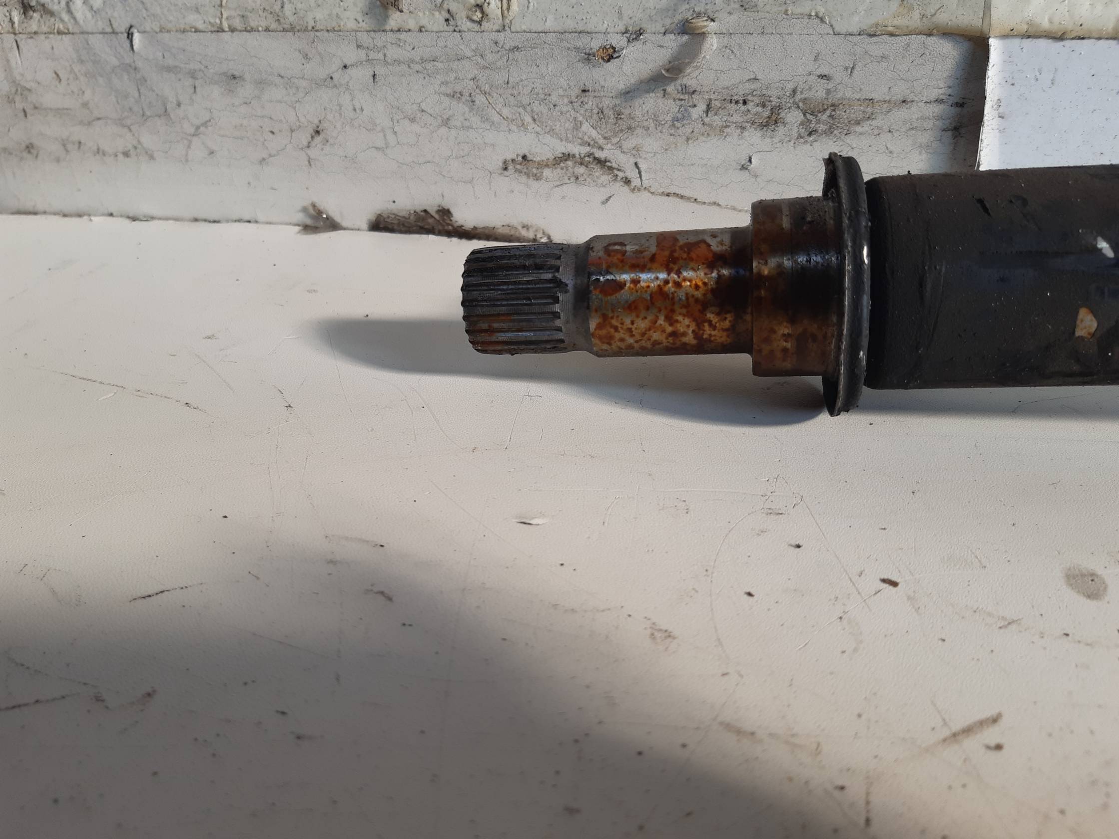 Semialbero ant. compl. dx.