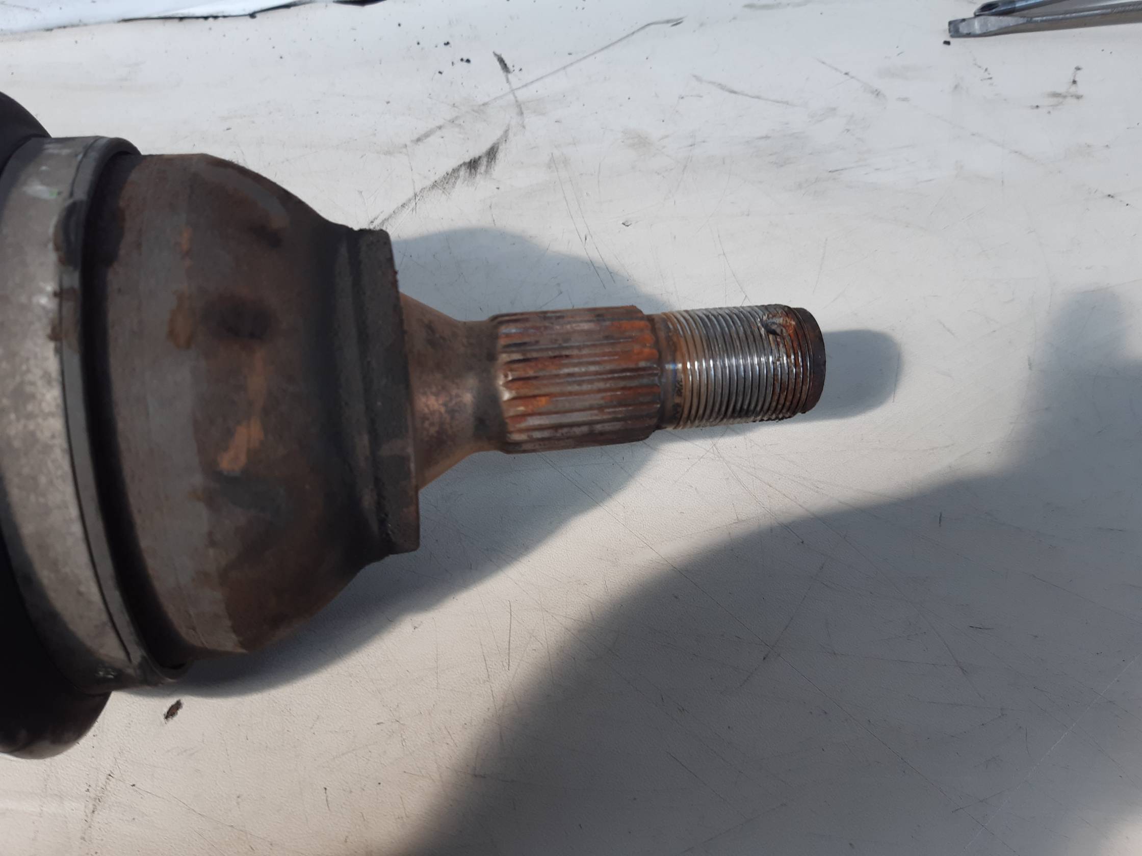 Semialbero ant. compl. sx.