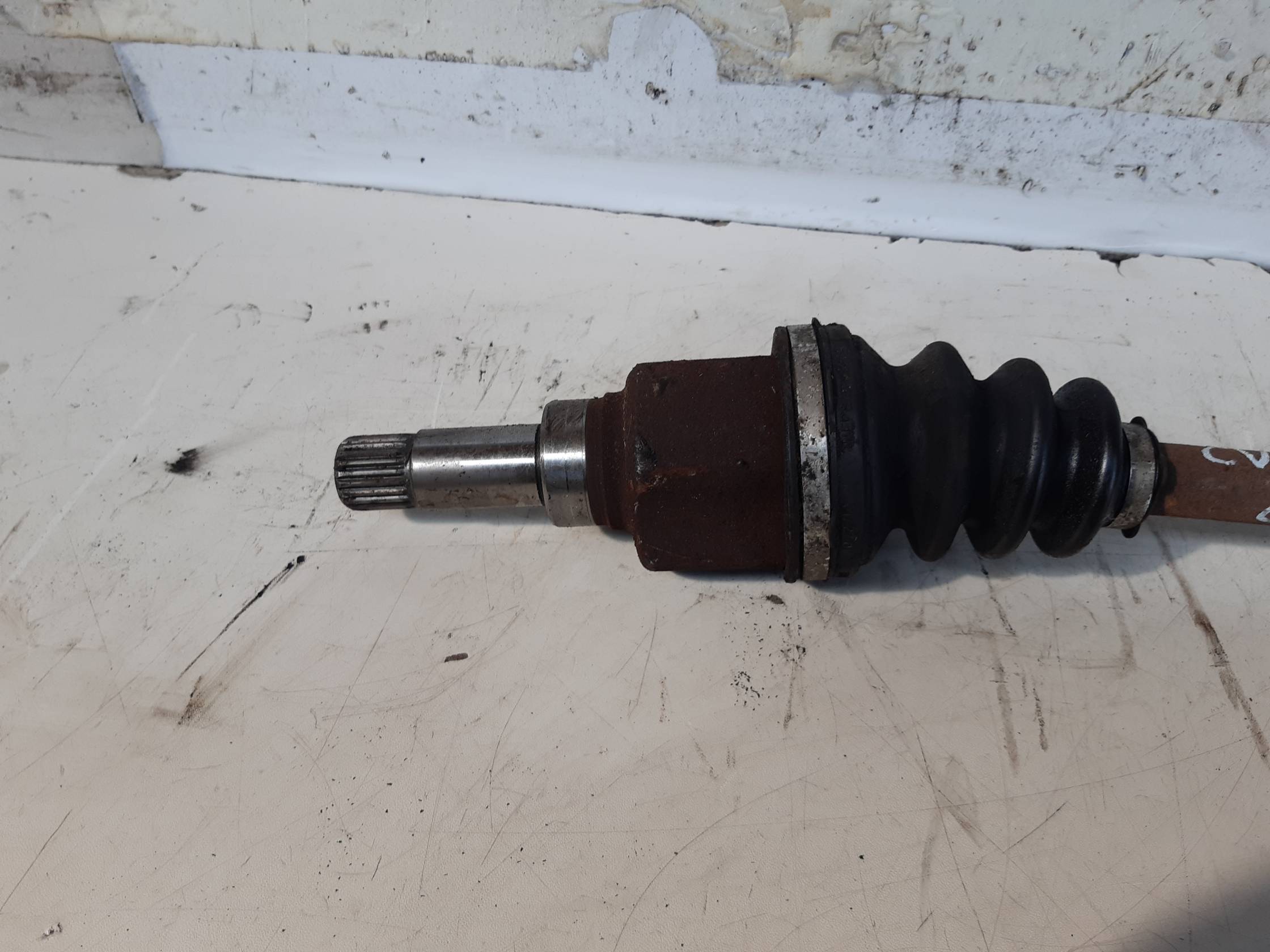 Semialbero ant. compl. sx.