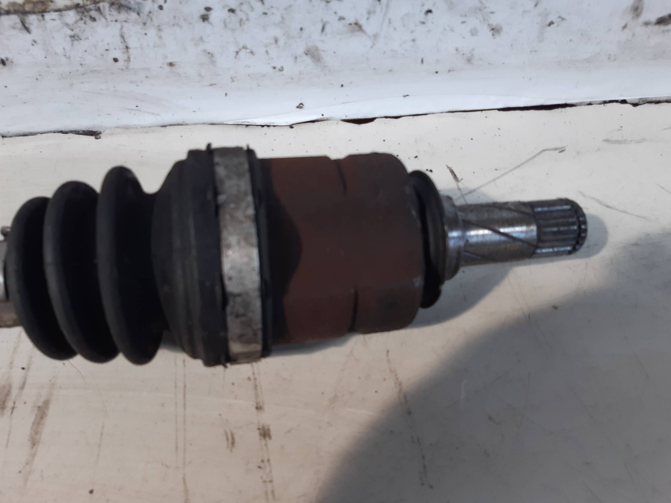 Semialbero ant. compl. sx.