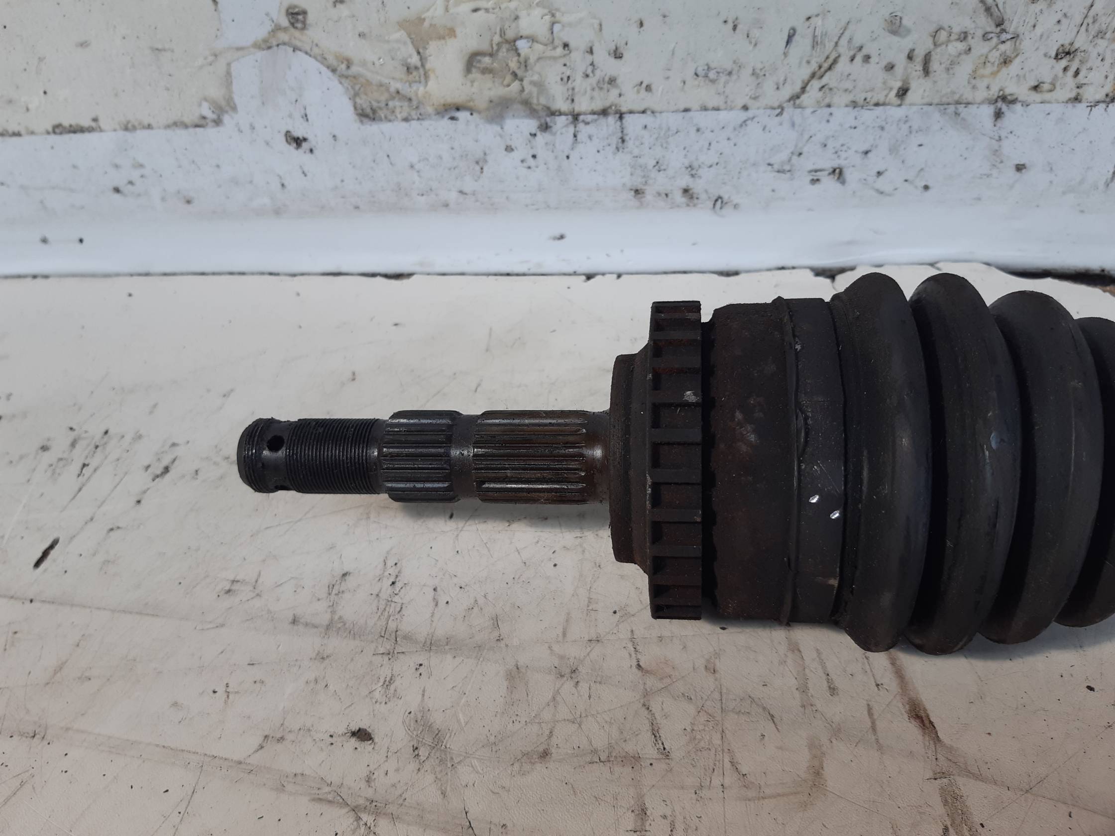 Semialbero ant. compl. sx.