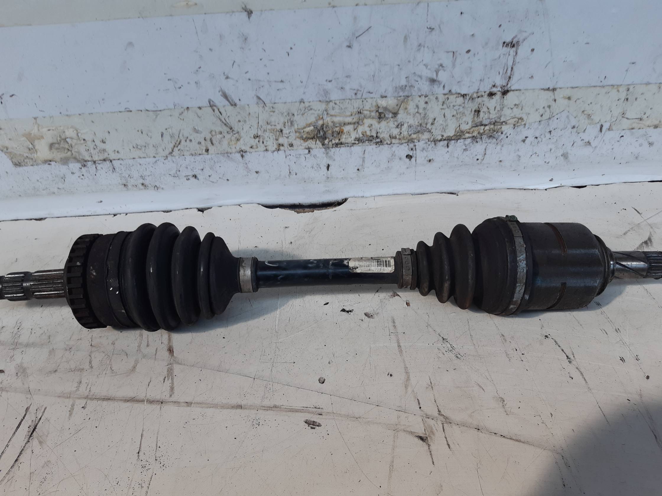 Semialbero ant. compl. sx.