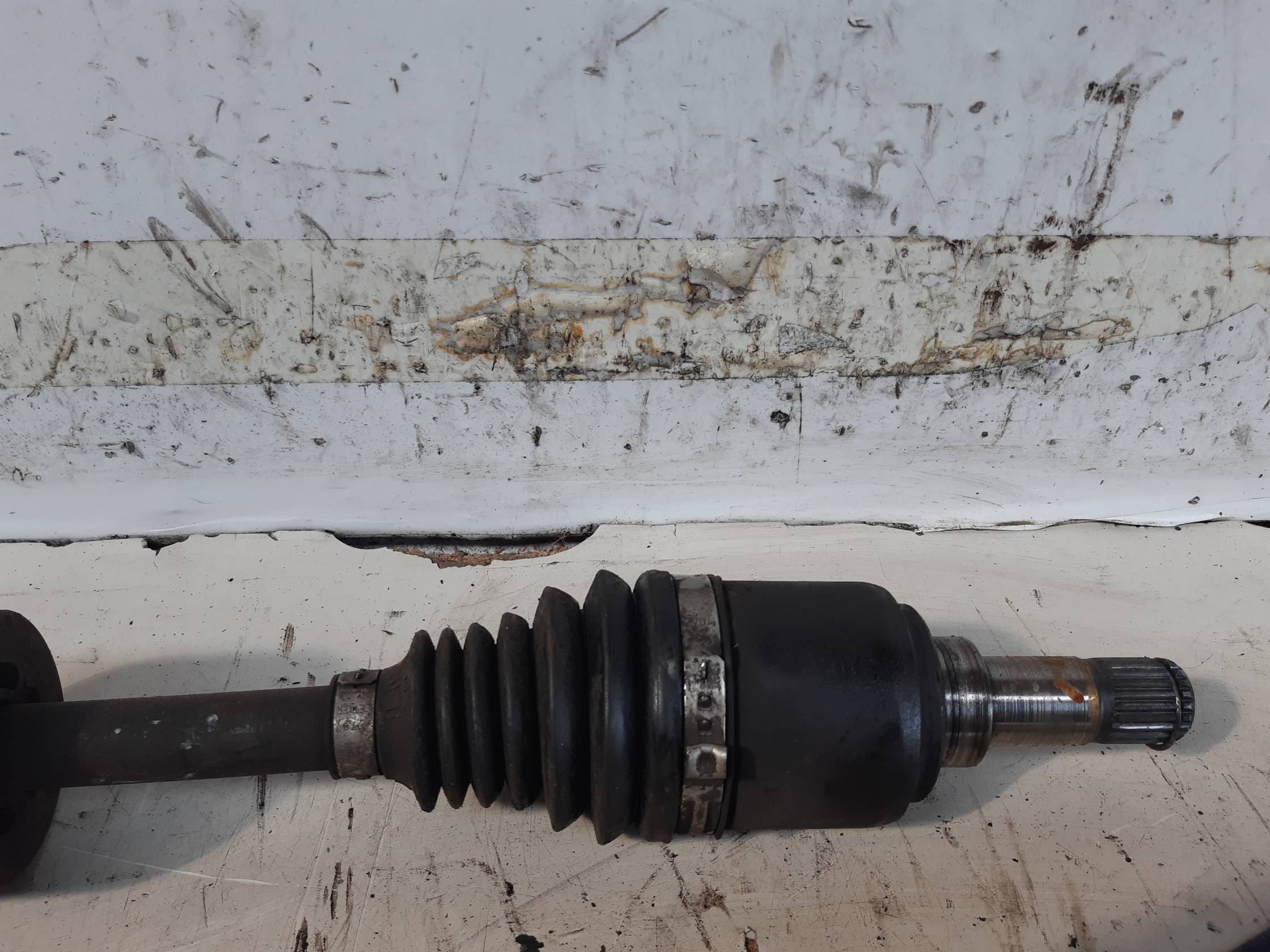 Semialbero ant. compl. dx.