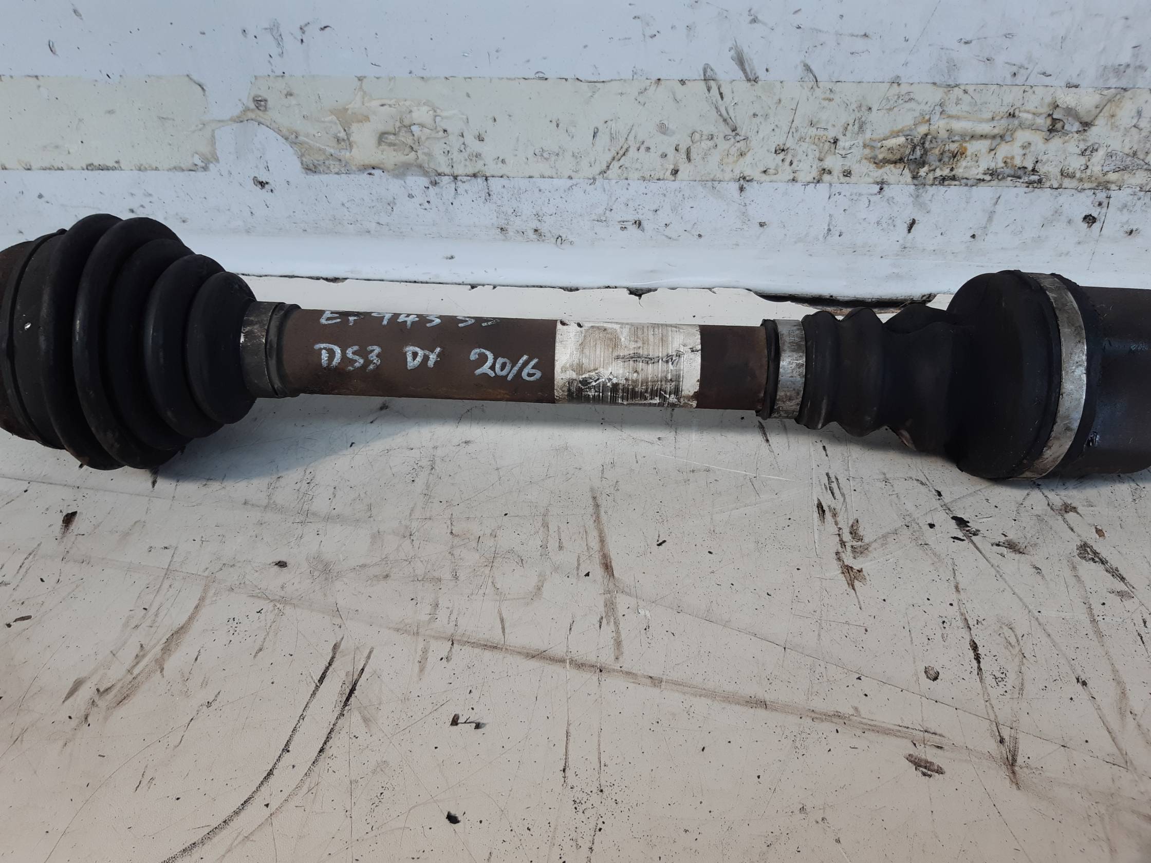 Semialbero ant. compl. dx. Semialbero ant. compl. dx.