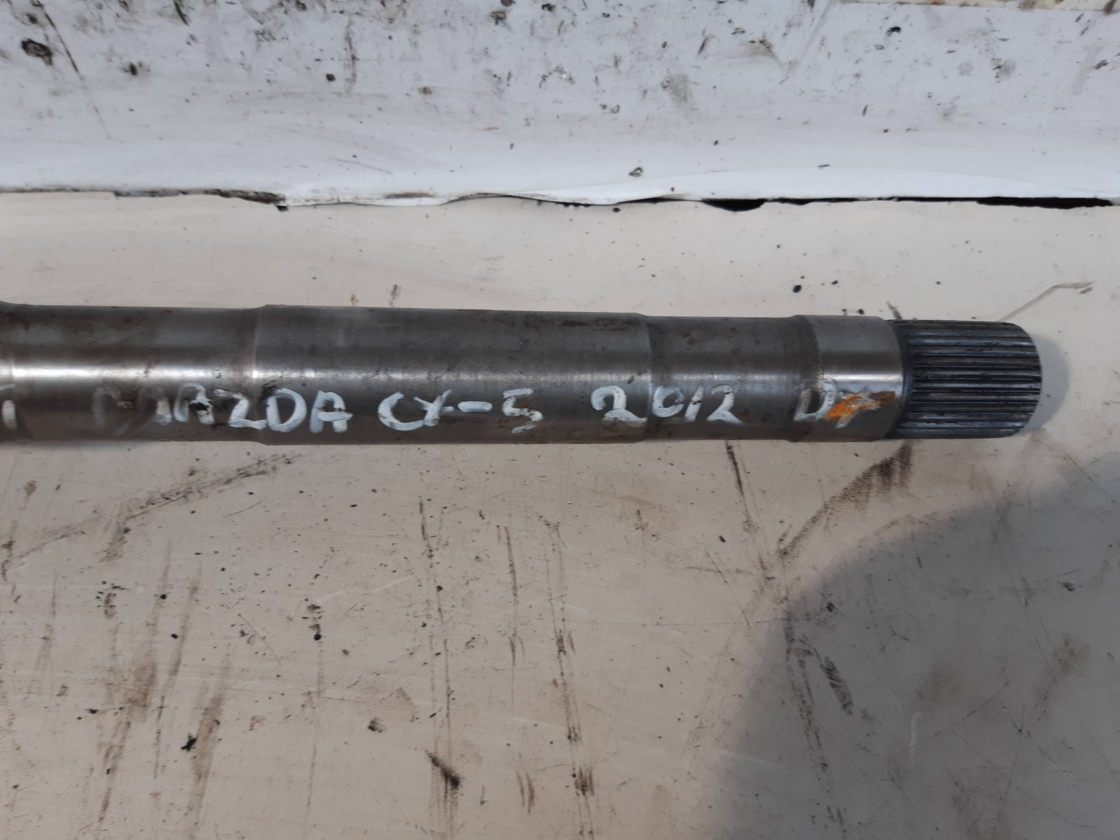 Semialbero ant. compl. dx.