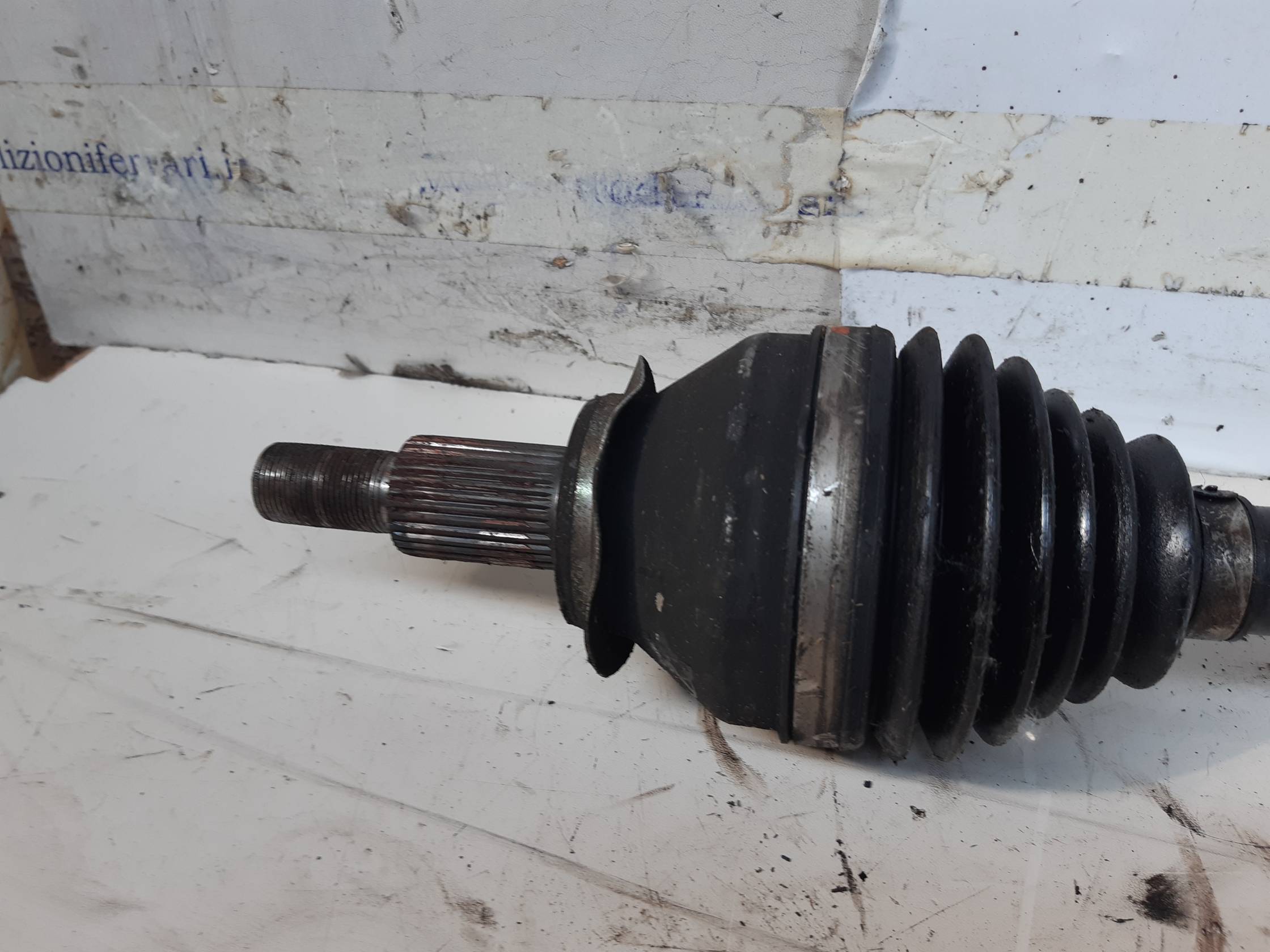 Semialbero ant. compl. dx.