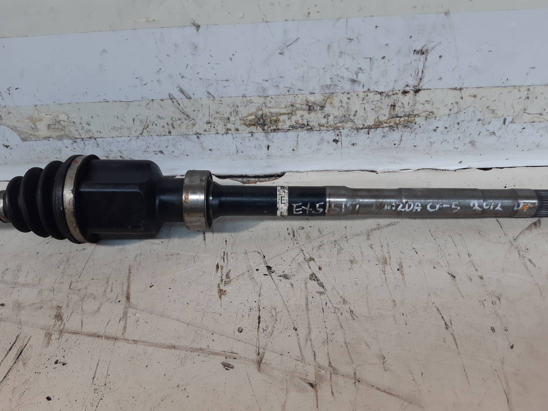 Semialbero ant. compl. dx.