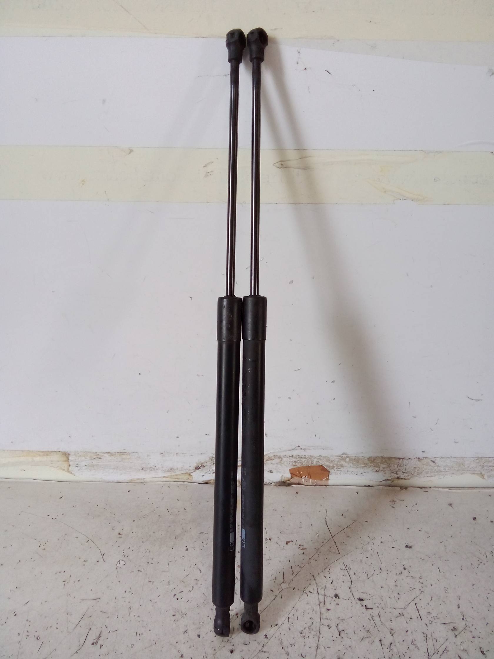 Asta ammortizzante portello post. sx.