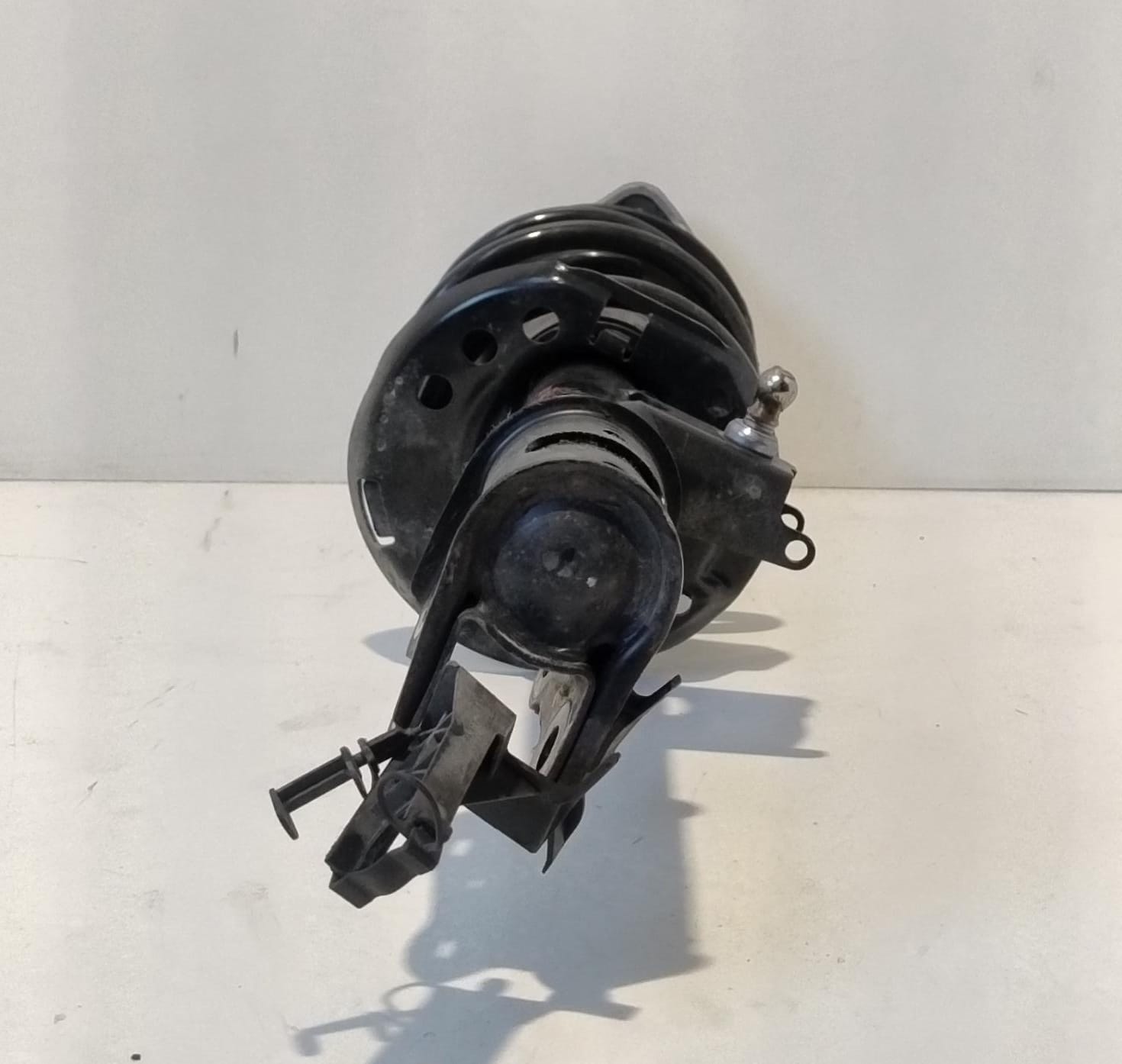 Ammortizzatore ant. sx.