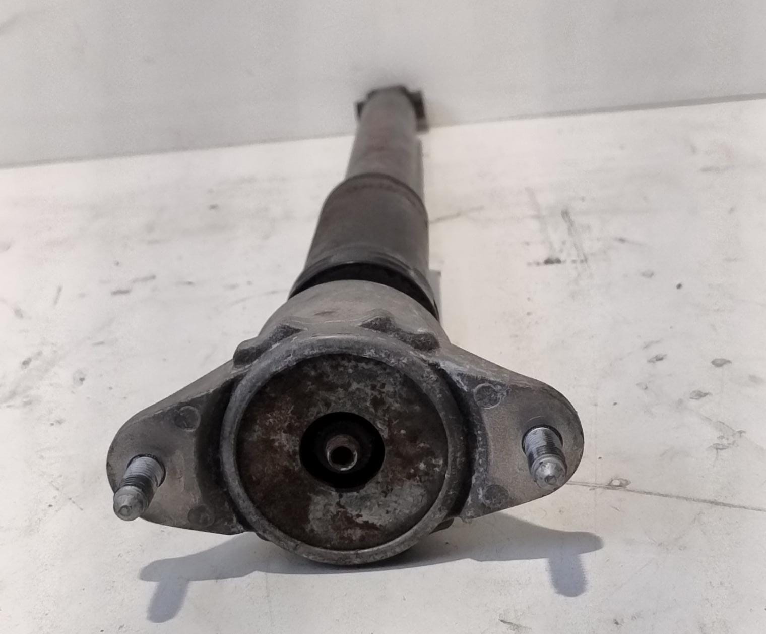 Ammortizzatore post. sx.