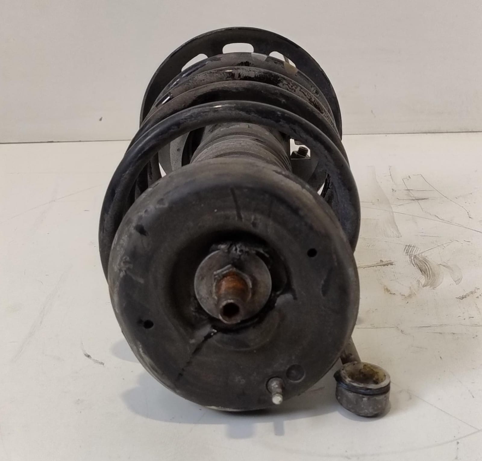 Ammortizzatore ant. sx.