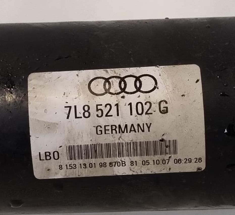 Albero di trasmissione