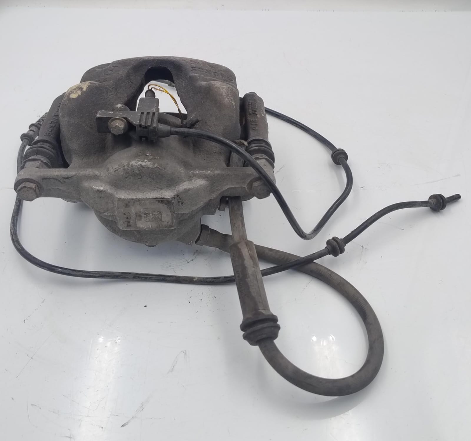 Pinza freno ant. sx. Pinza freno ant. sx.