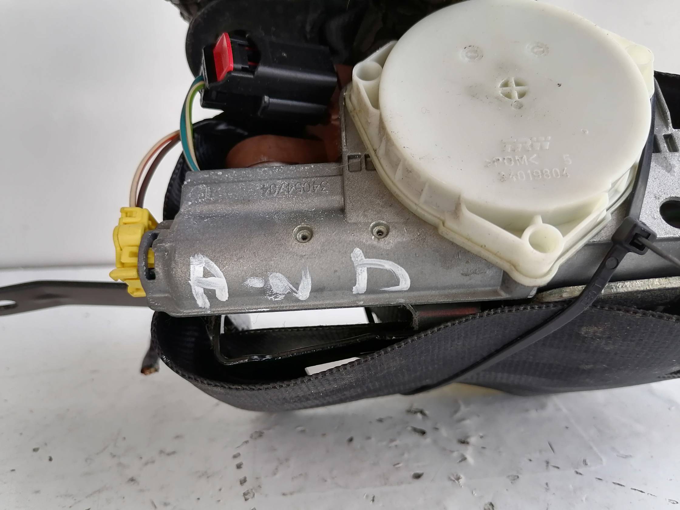 Cintura di sicurezza ant. dx.