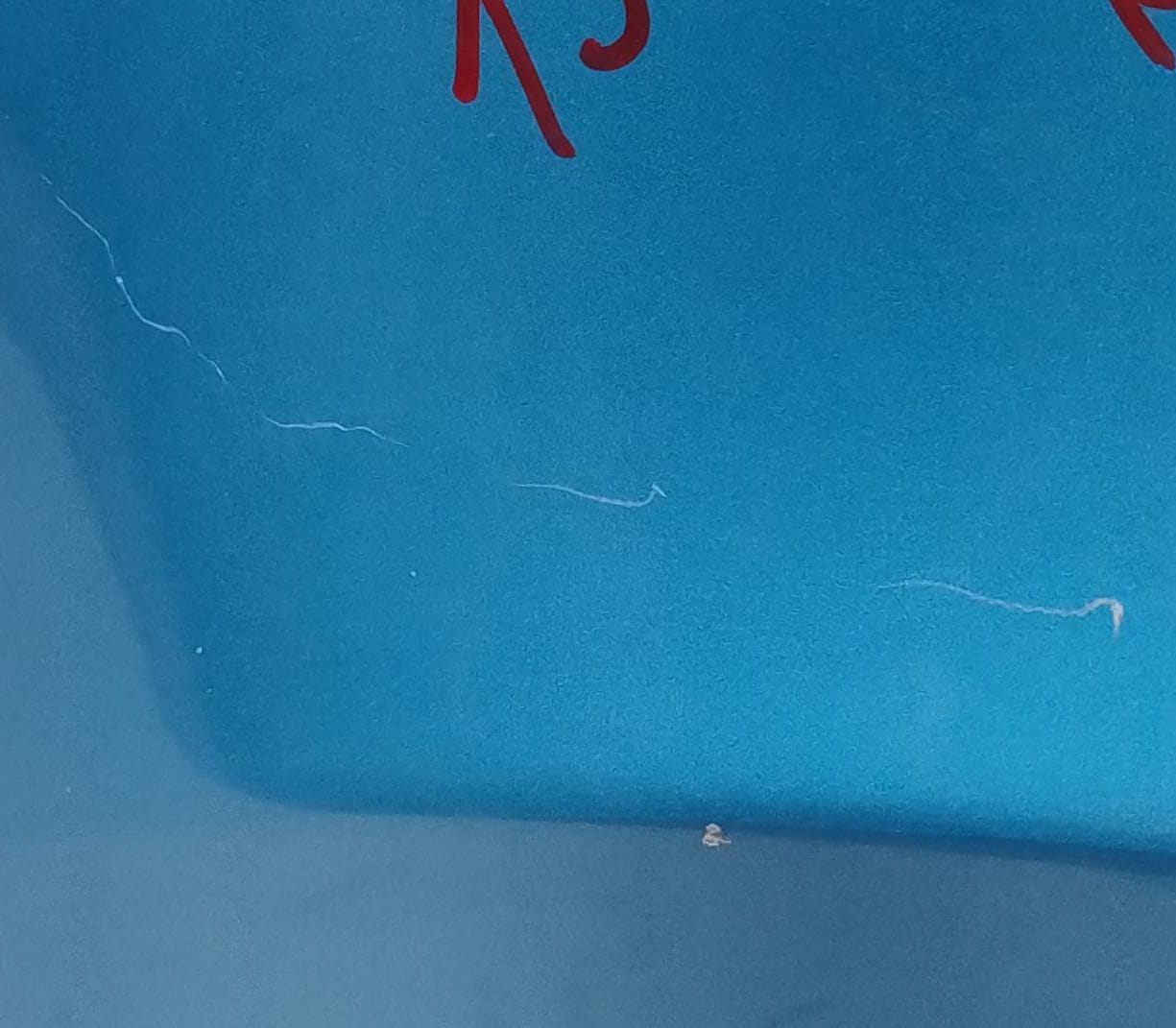 Parafango ant. sx.