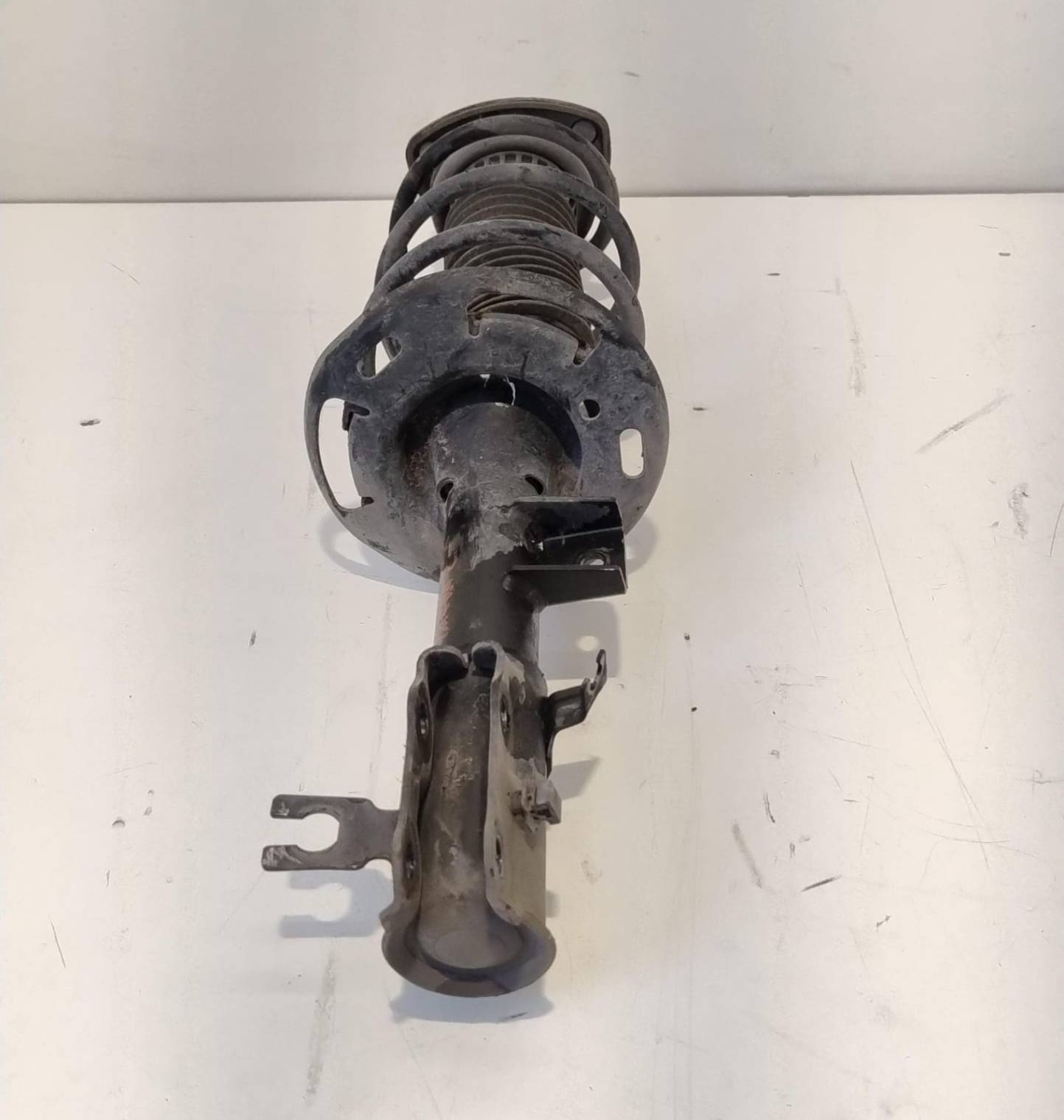 Ammortizzatore ant. sx.