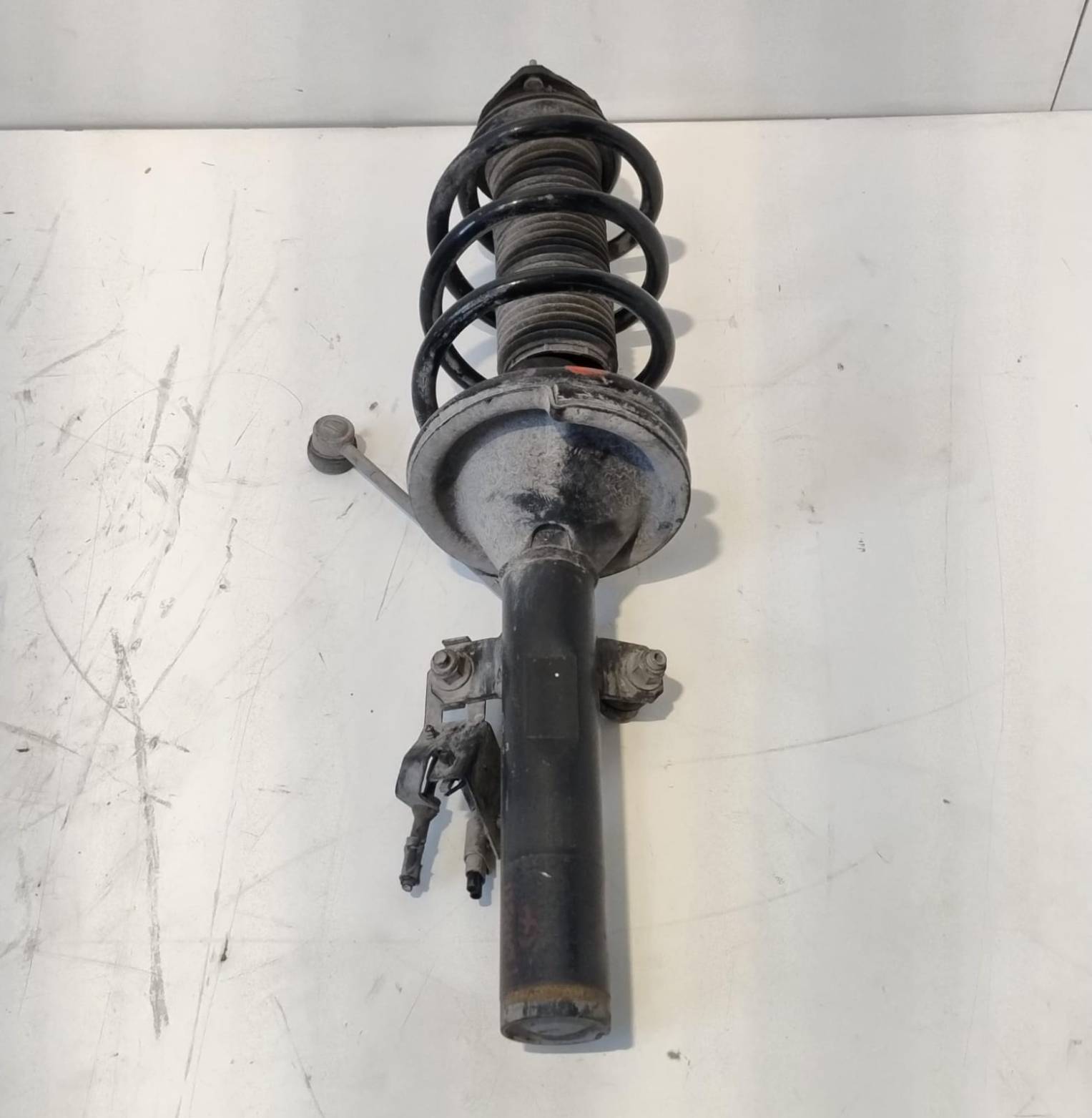 Ammortizzatore ant. sx.