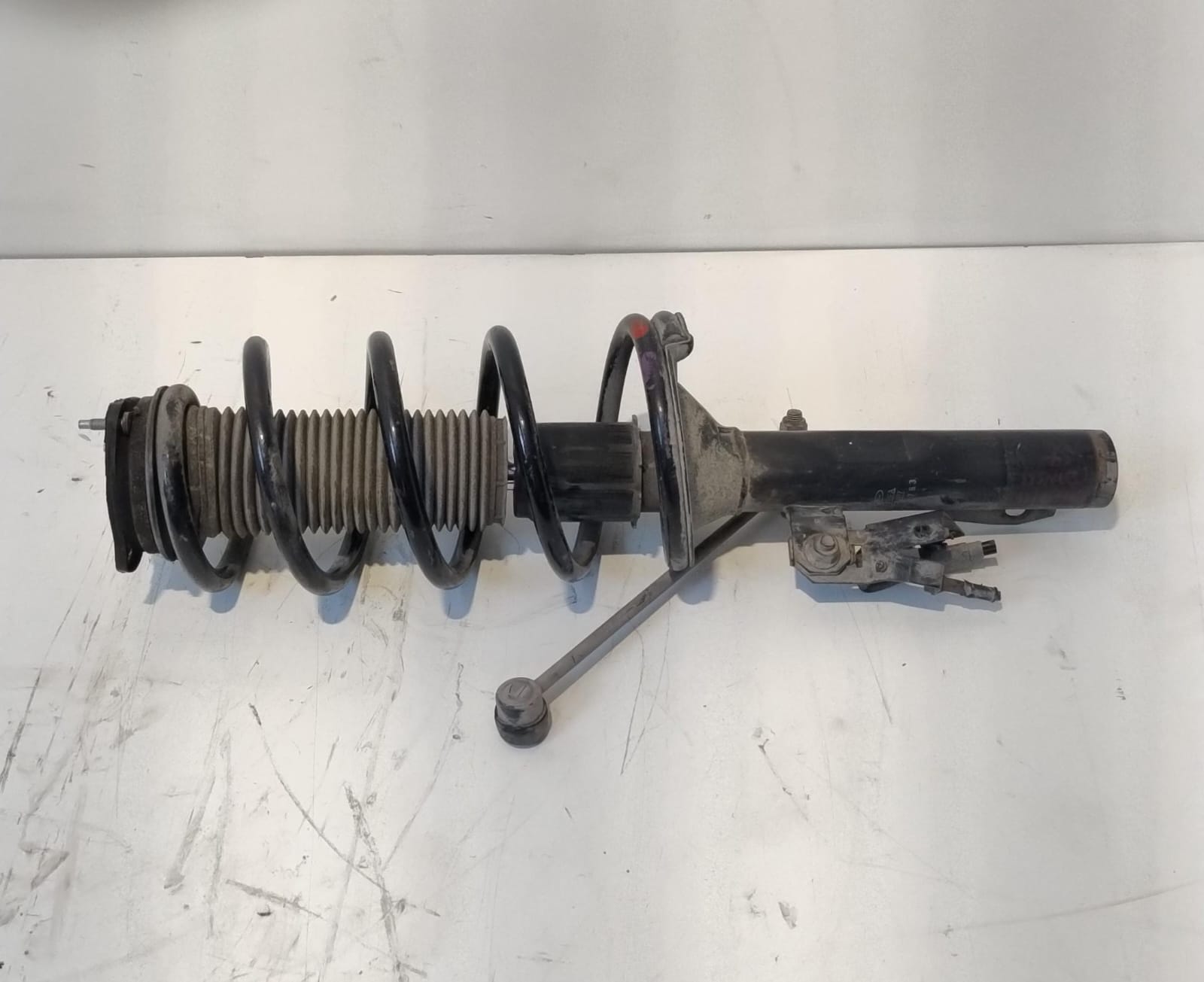 Ammortizzatore ant. sx.