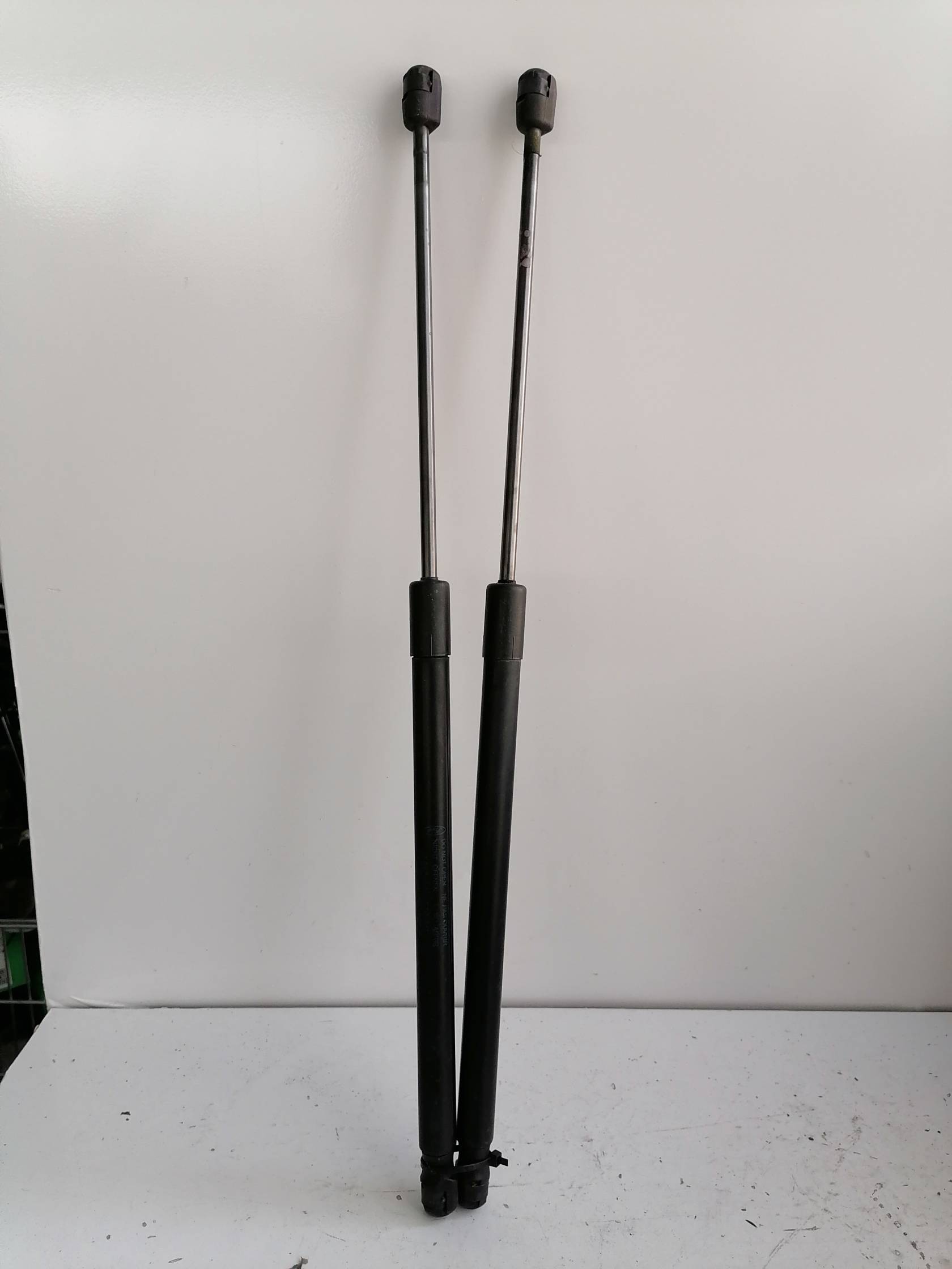 Asta ammortizzante portello post. sx.