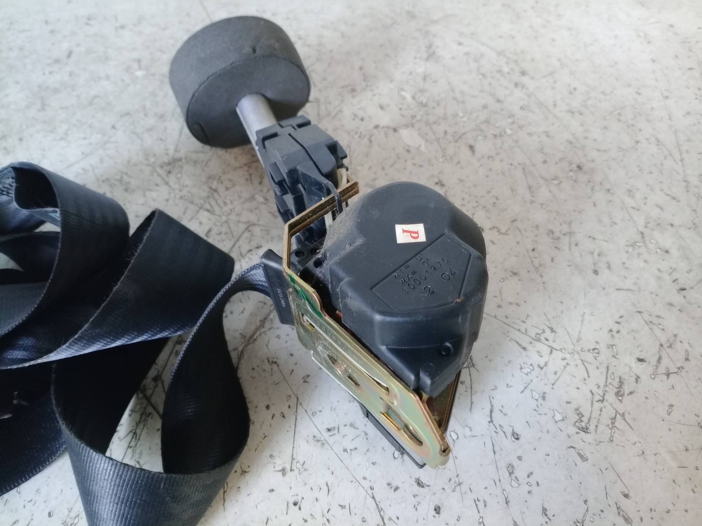 Cintura sicurezza ant. dx.