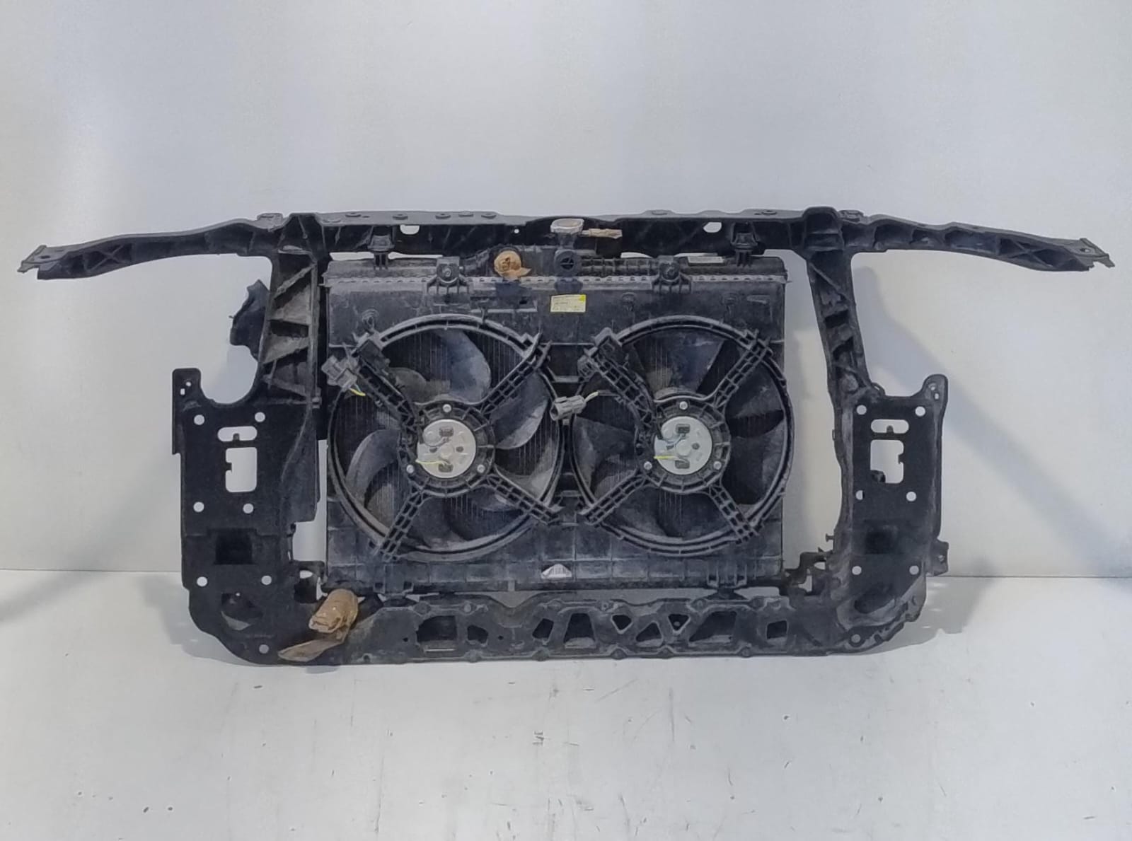 Calandra con radiatore e ventola