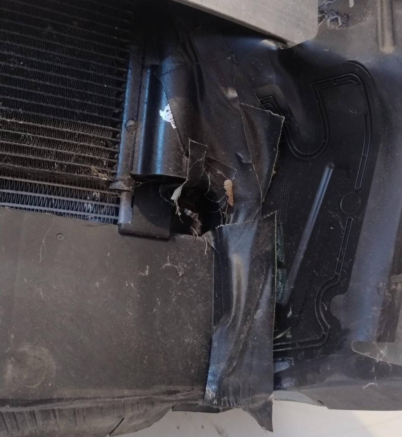 Calandra anteriore con radiatori e ventola