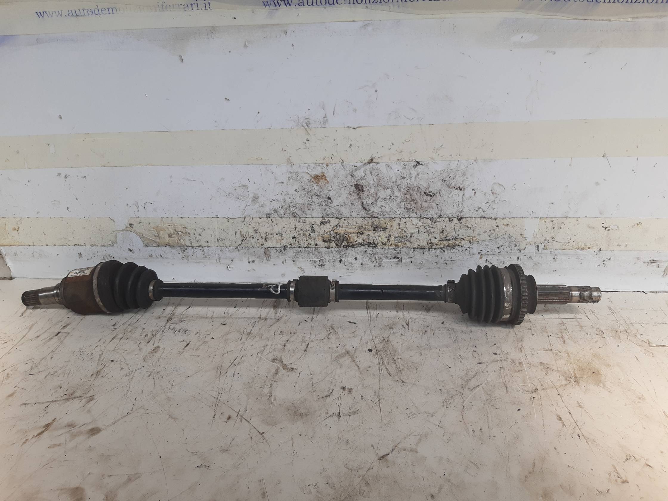 Semialbero ant. compl. dx. Semialbero ant. compl. dx.