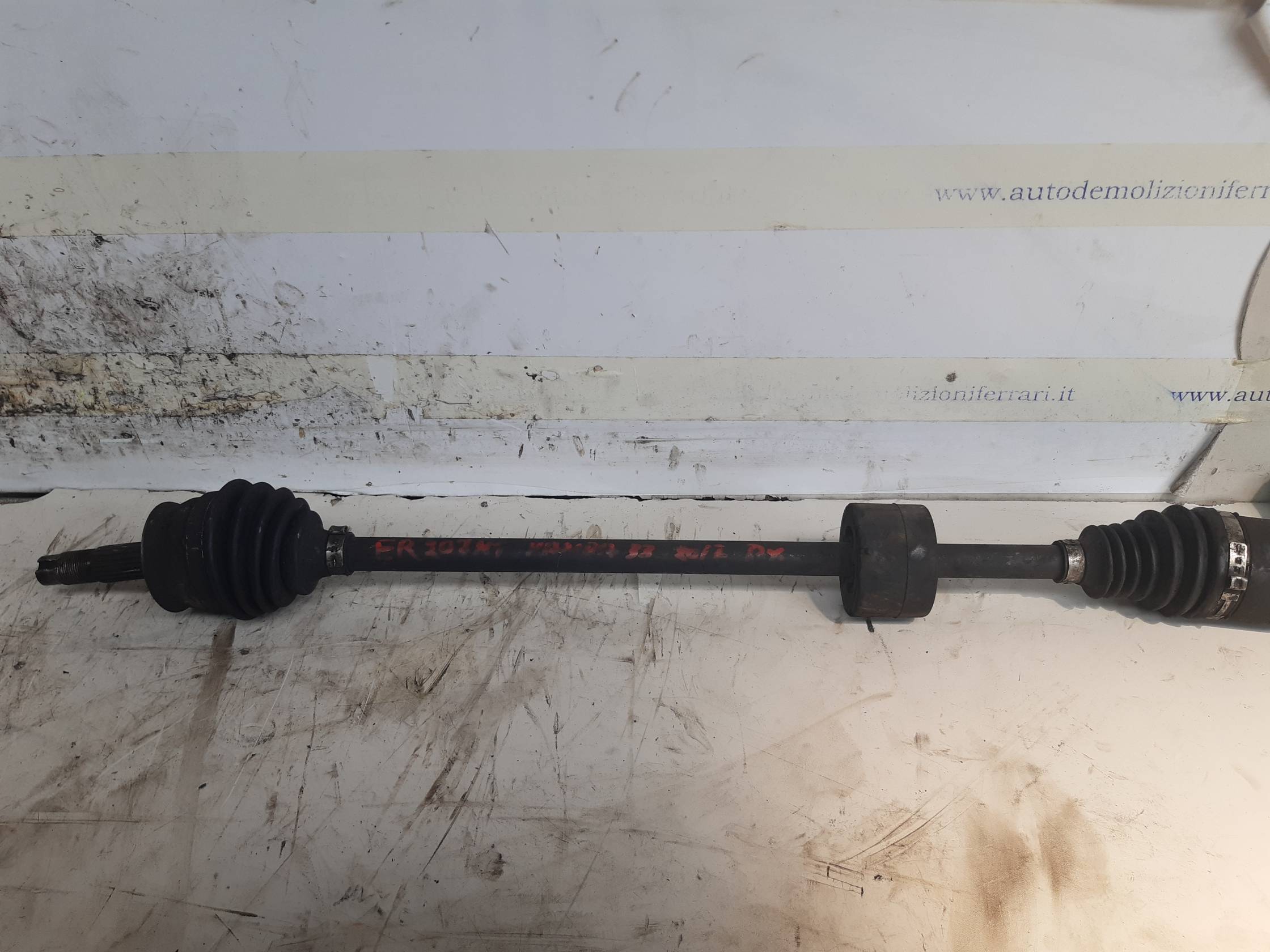 Semialbero ant. compl. dx. Semialbero ant. compl. dx.